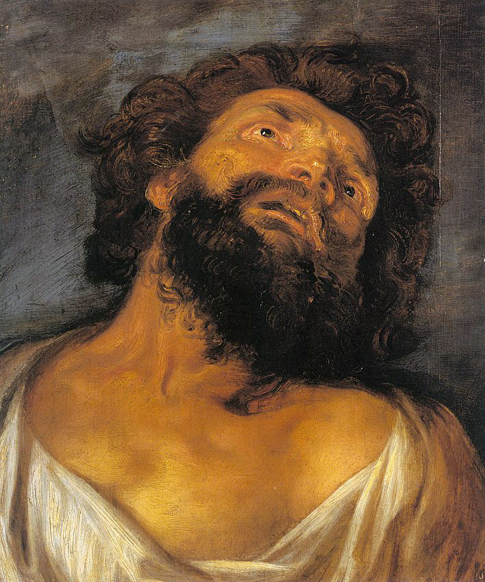 Cabeza De Robber Van Dyck — Anthony Van Dyck — Barroco