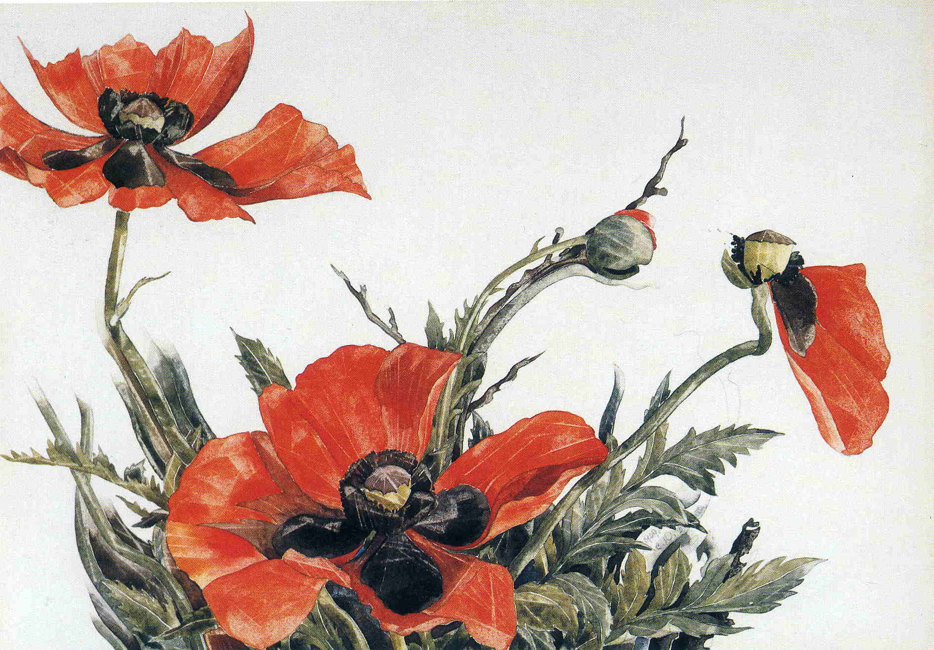 Charles Demuth