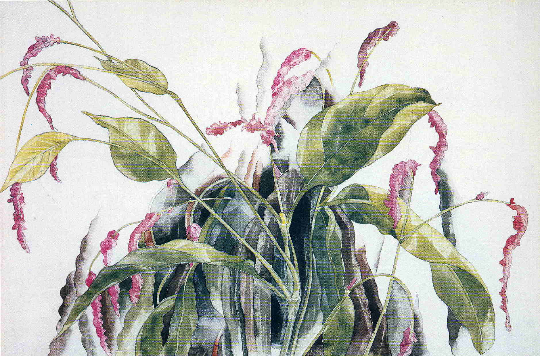 Art 7001 Demuth — Charles Demuth