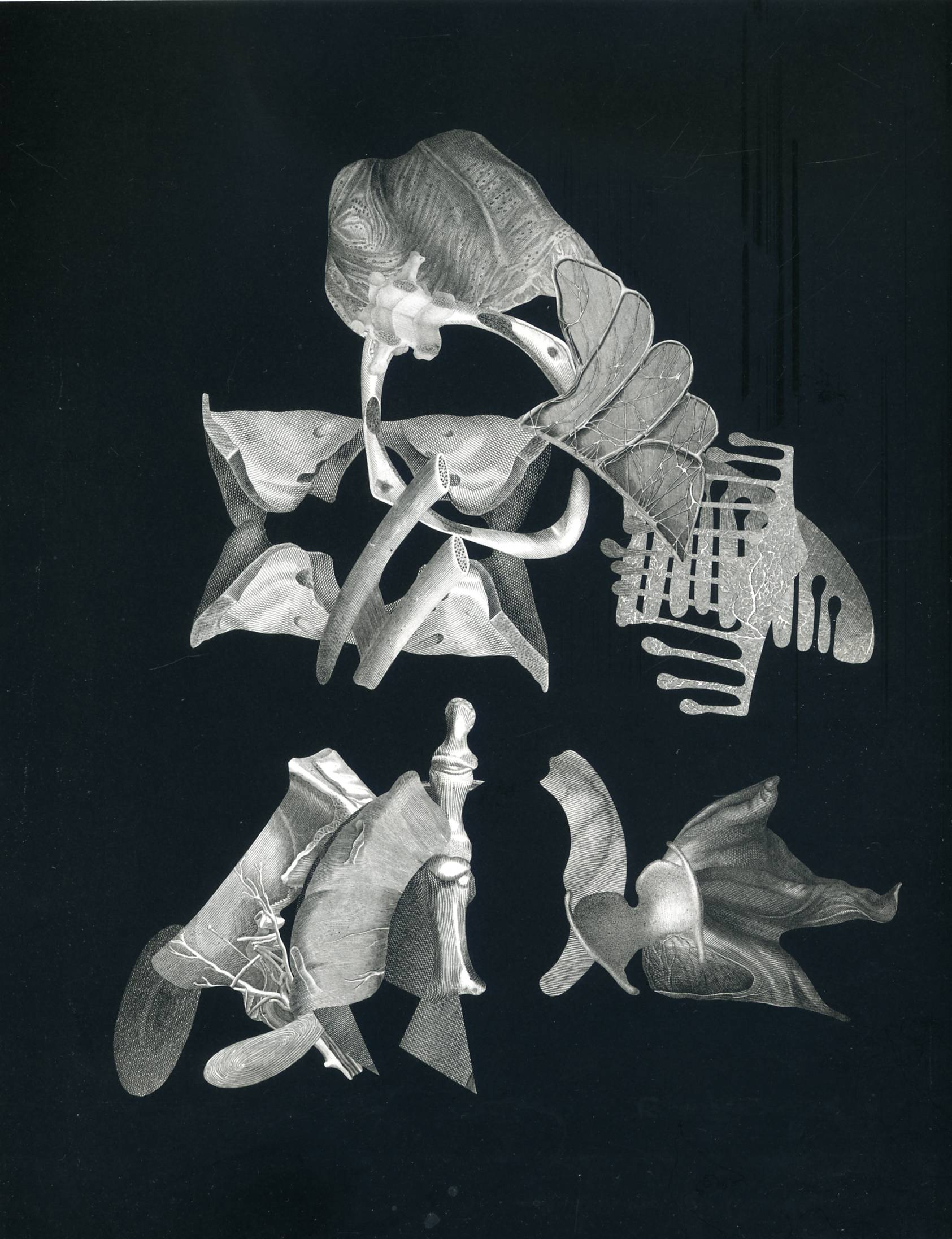 Drawings 17 Sommer — Frederick Sommer