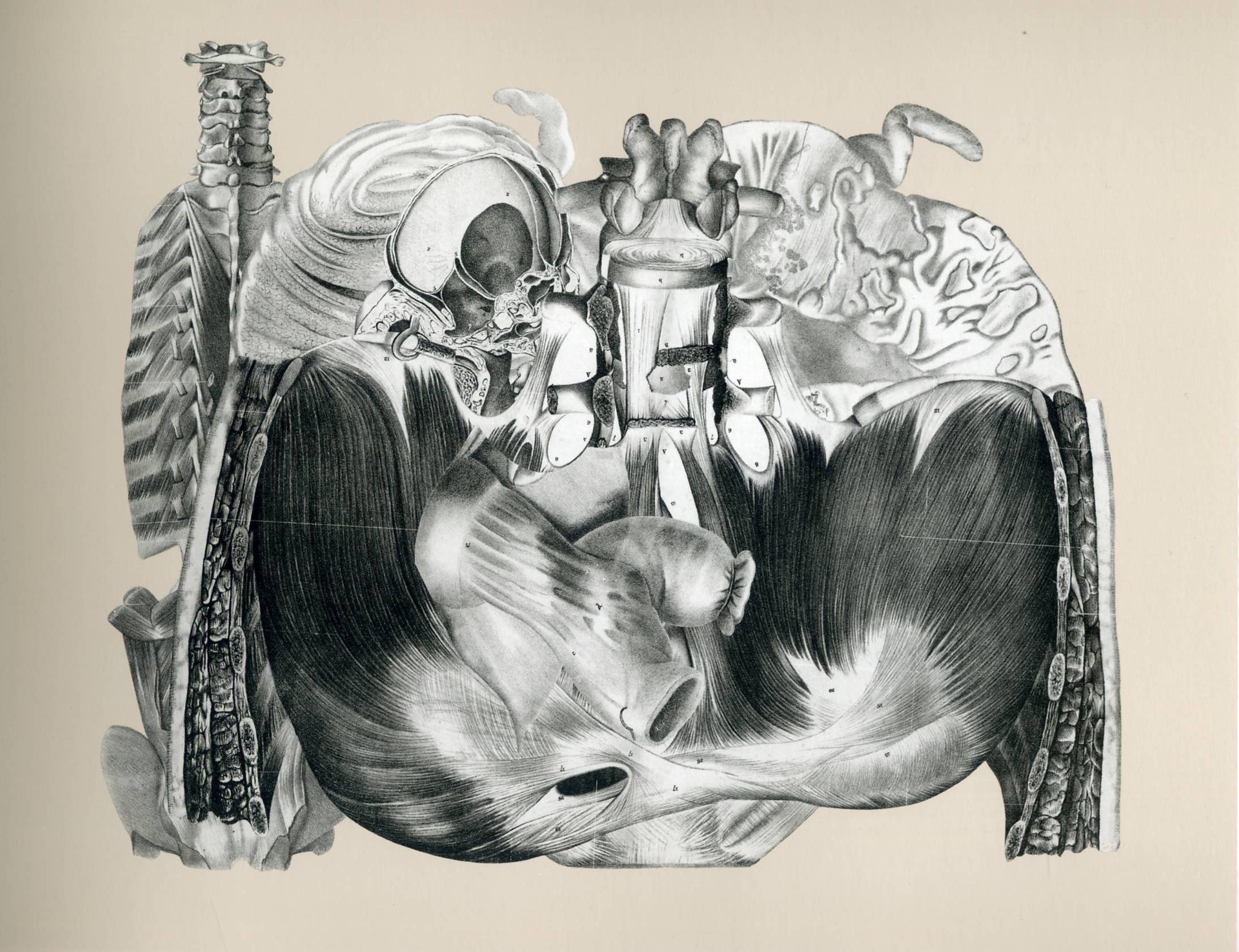 Drawings 20 Sommer — Frederick Sommer