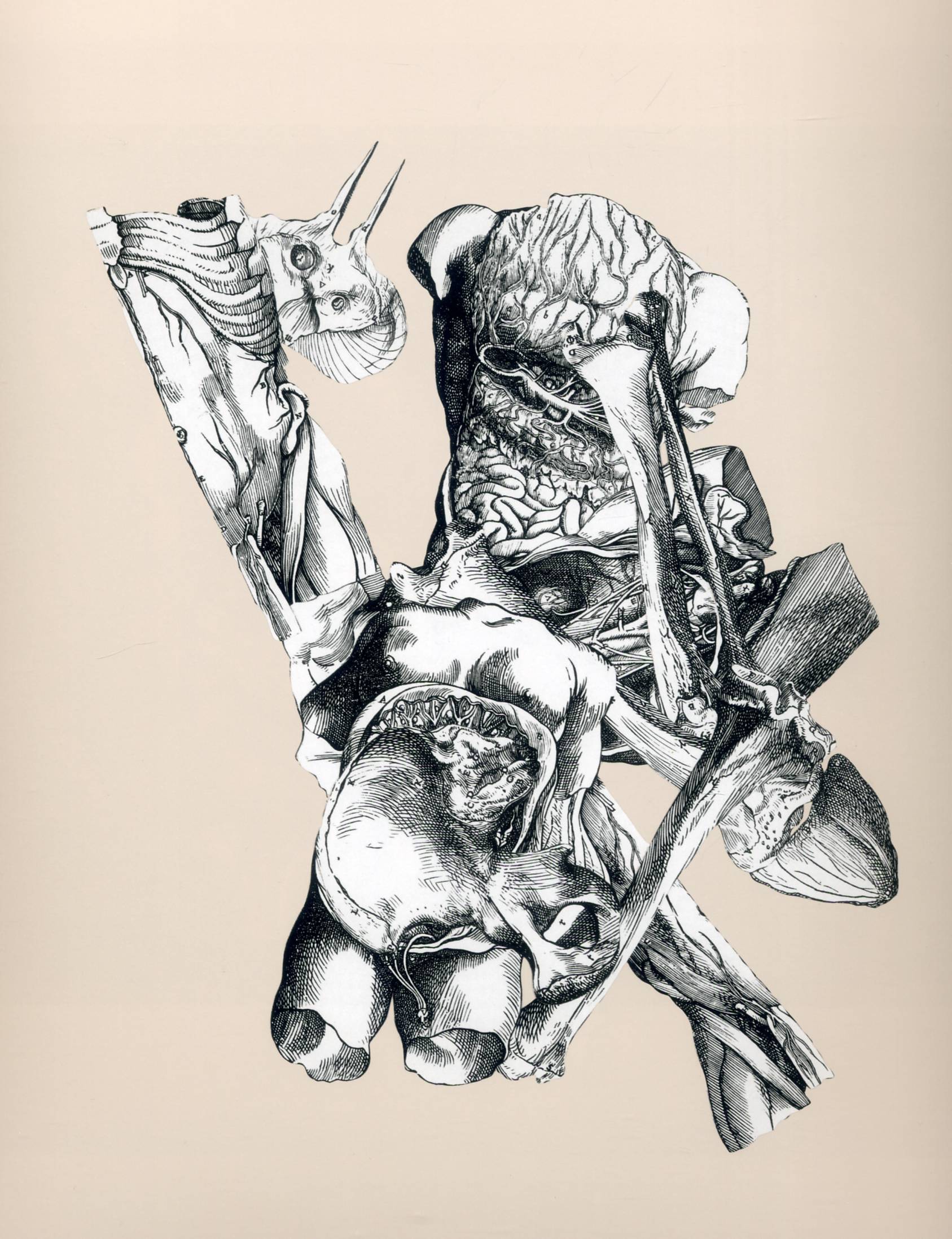 Drawings 26 Sommer — Frederick Sommer