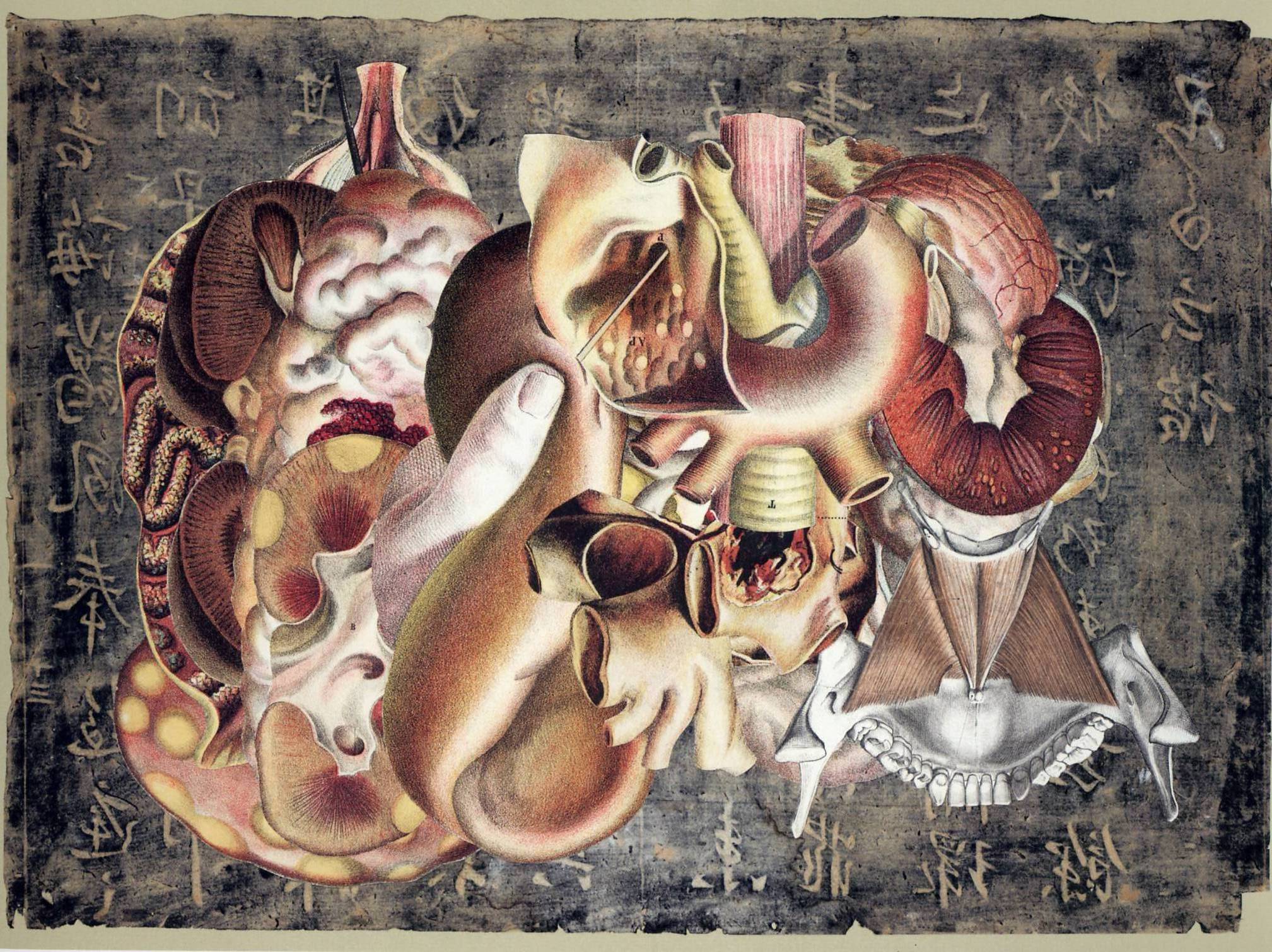 Drawings 27 Sommer — Frederick Sommer