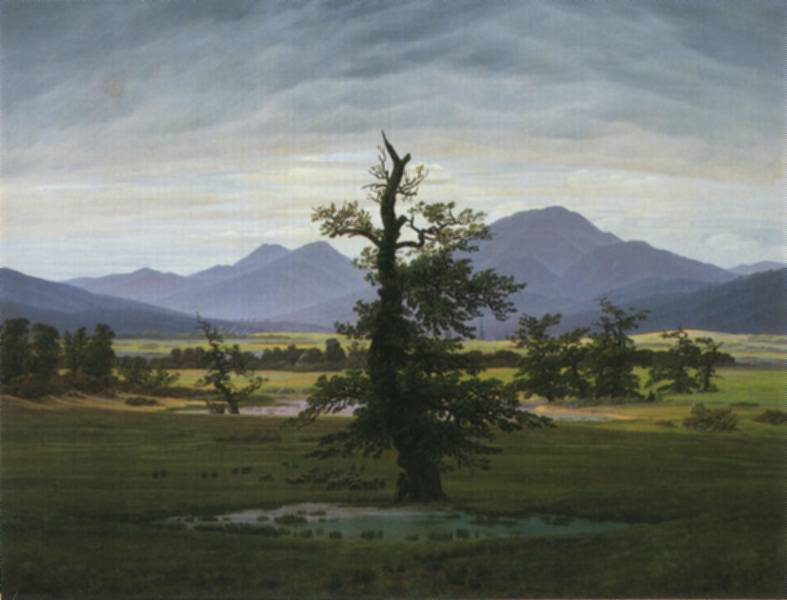 Friedrichsolitary Arbol Friedrich — Friedrich