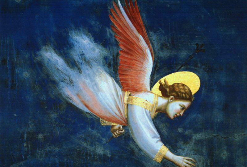 Angel 5 Giotto — Giotto — Primitivos Italianos