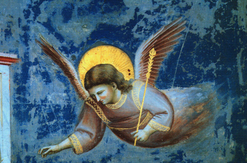 Angel 6 Giotto — Giotto — Primitivos Italianos