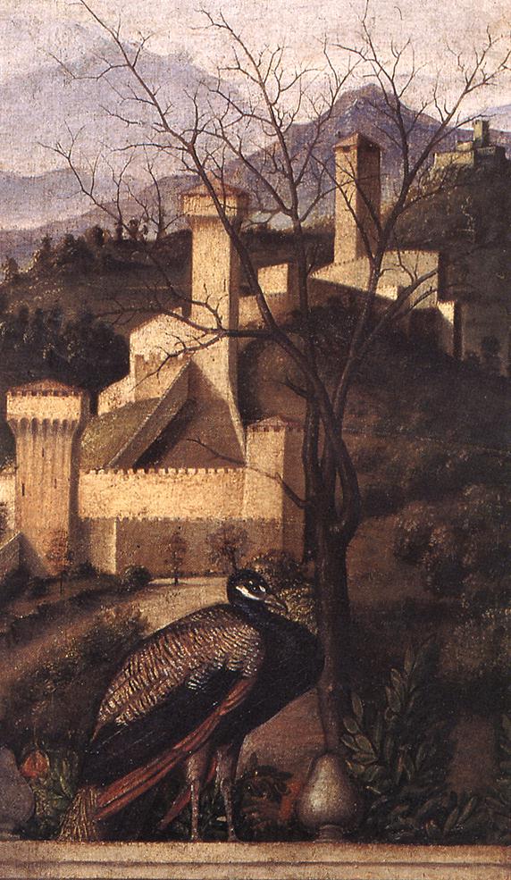 Barbarigo Altarpiece Detalle 3 Bellini — Giovanni Bellini