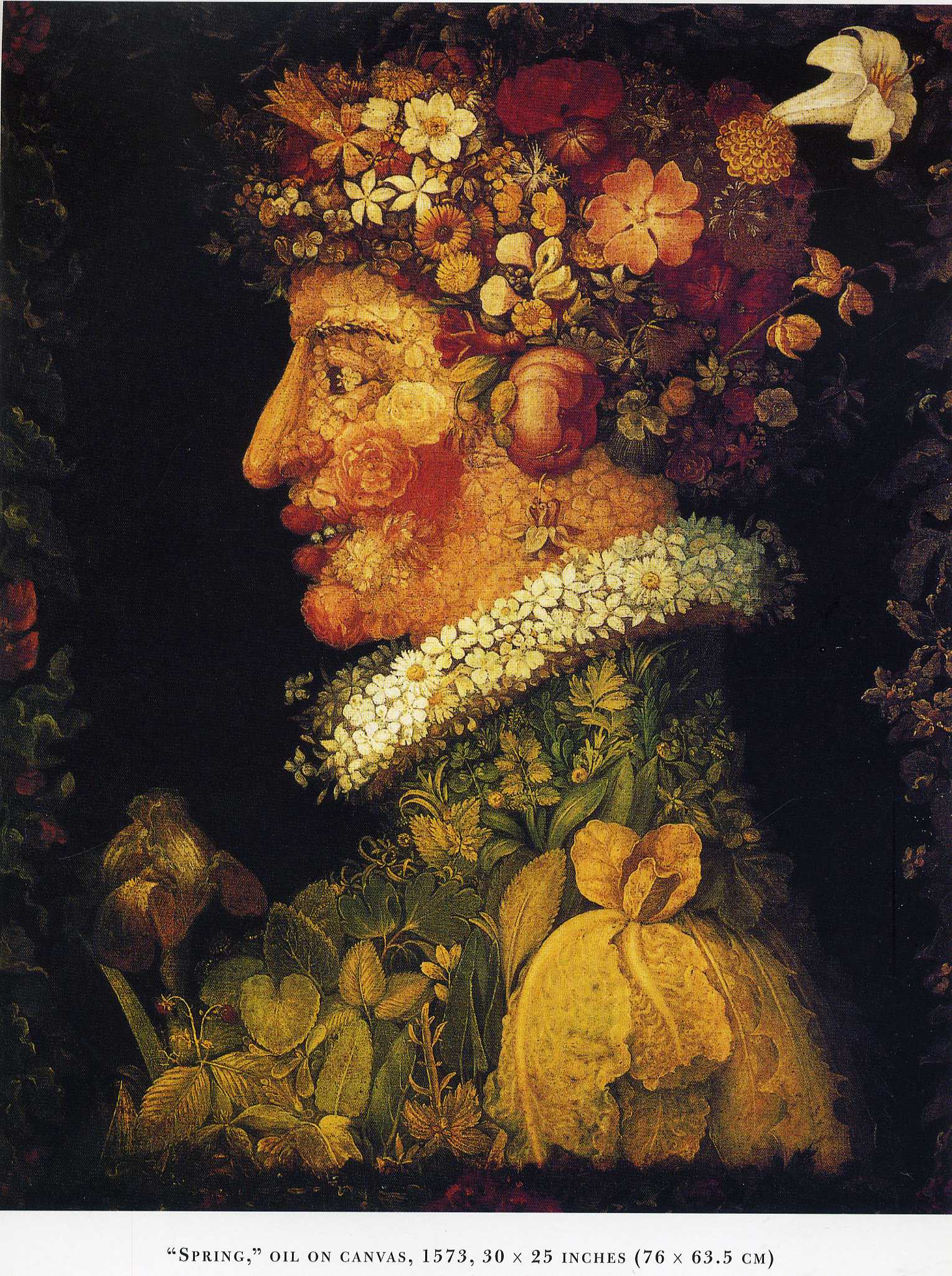 Giuseppe Arcimboldo 005 — Giuseppe Arcimboldo