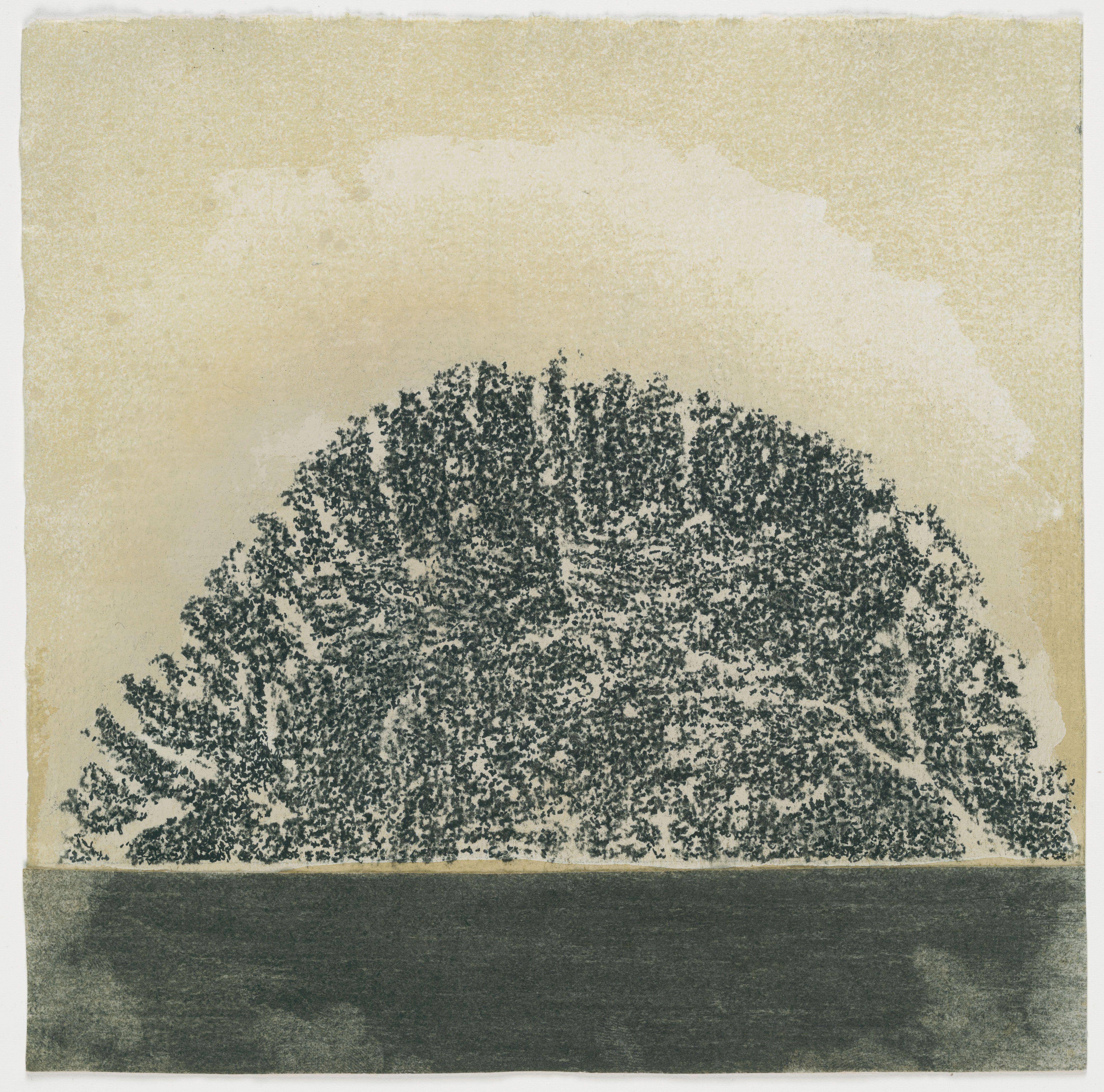 Untitled Penone — Giuseppe Penone