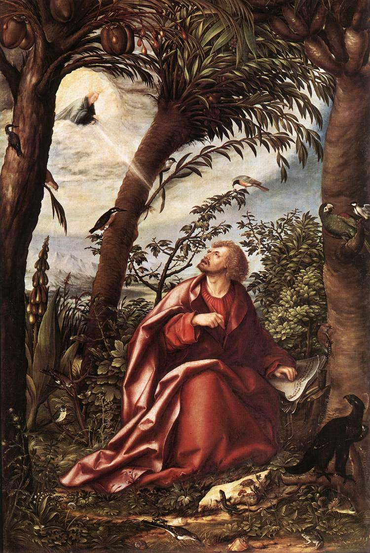 San John Evangelist En Patmos Burgmair — Hans Burgmair