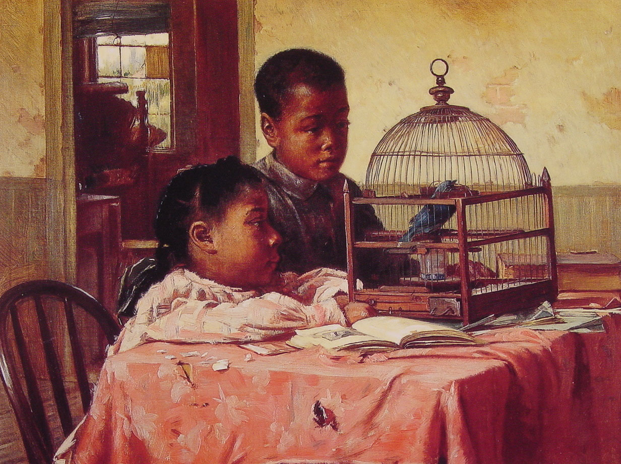 Observando Azul Jay Roseland — Harry Roseland