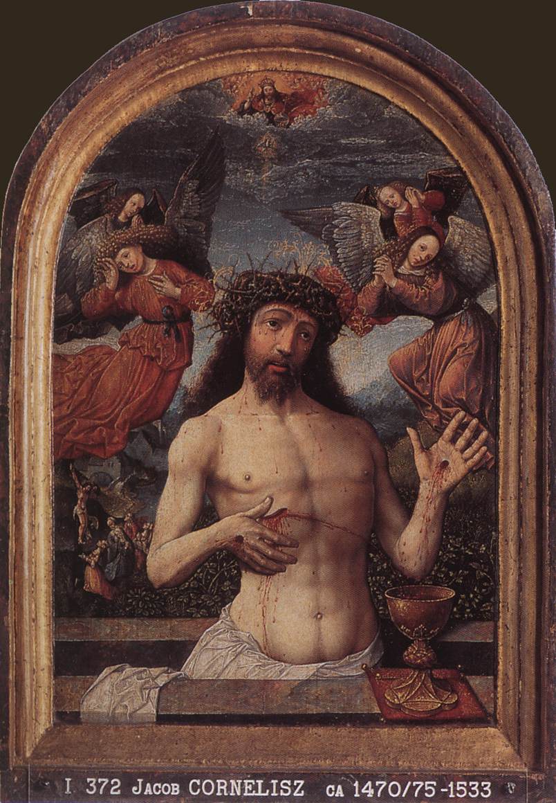 Hombre De Sorrows Oostsanen — Jacob Cornelisz Van Oostsanen