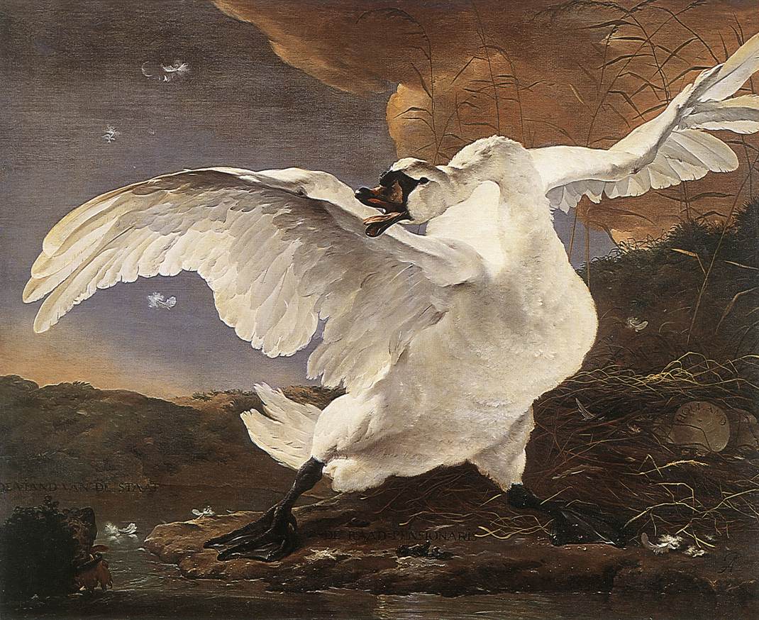 Threatened Swan Asselyn — Jan Asselyn