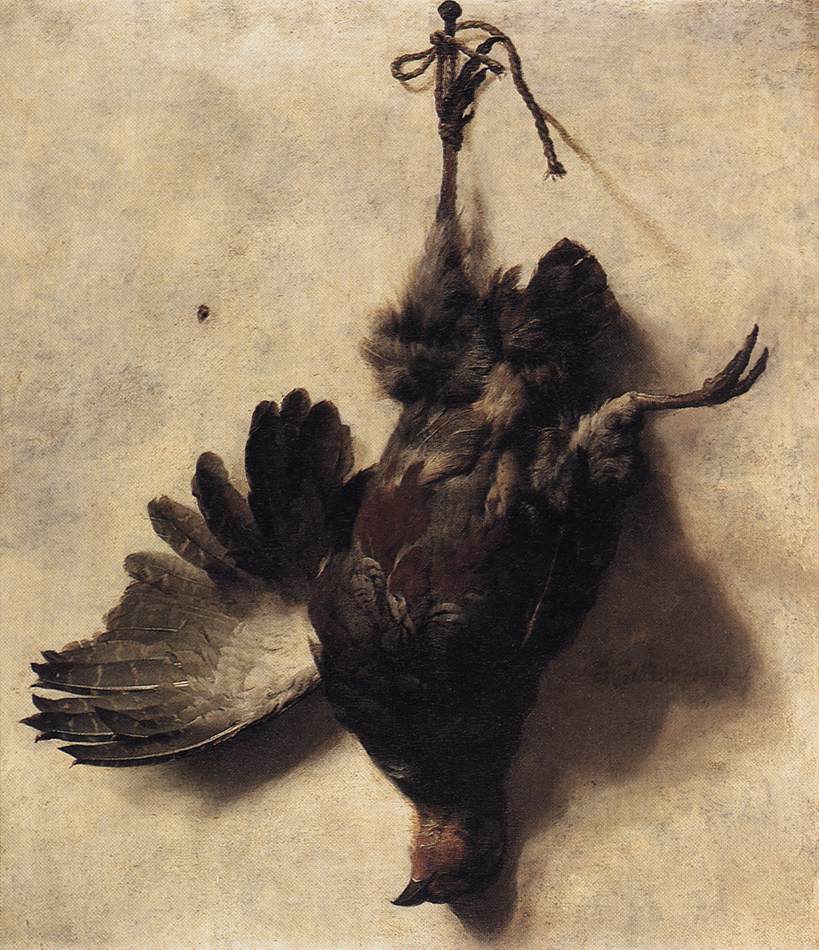 Dead Partridge Weenix — Jan Baptist Weenix