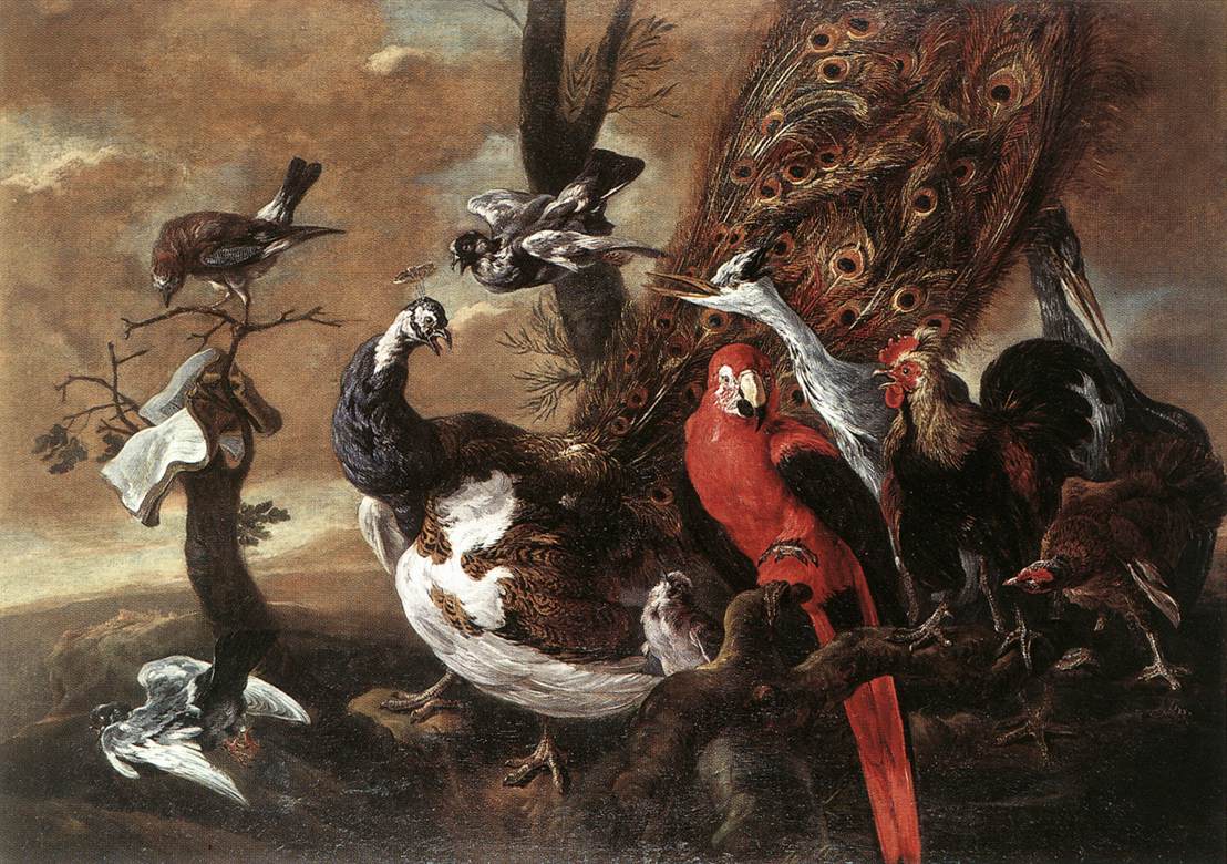 Pajaro Concert Fyt — Jan Fyt