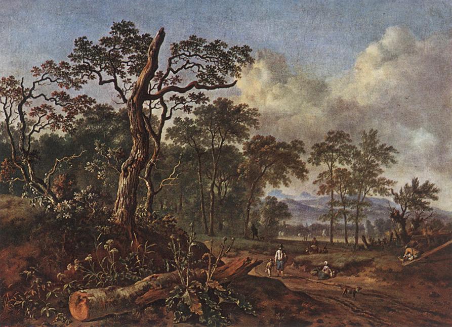 Camino Beside Bosque Wynants — Jan Wynants