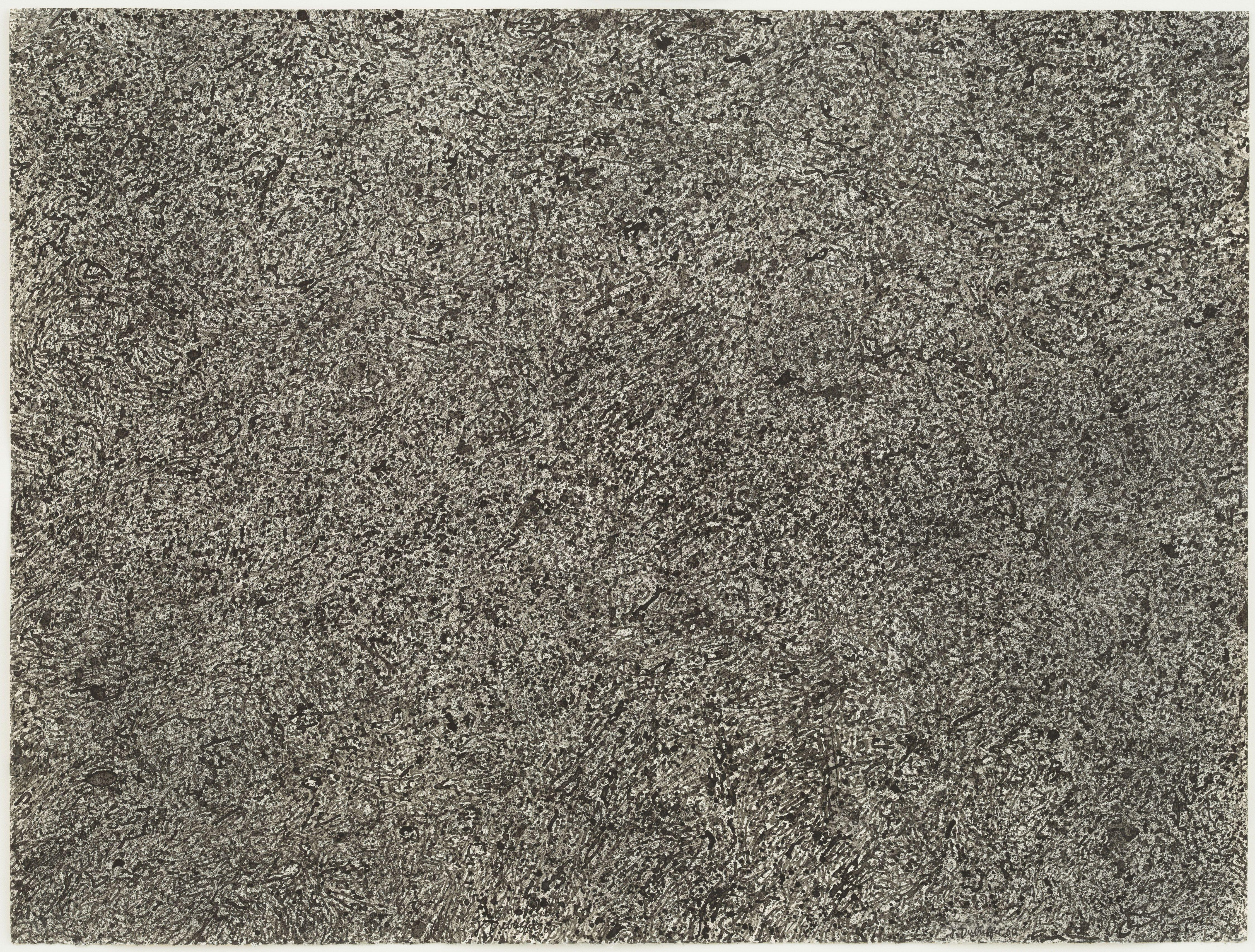 Epidermis Dubuffet — Jean Dubuffet
