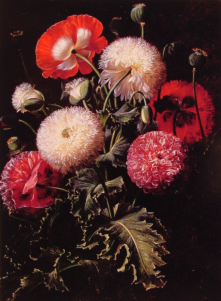 Bodegon Con Pink Rojo Y Blanco Poppies Jensen — Johan Jensen