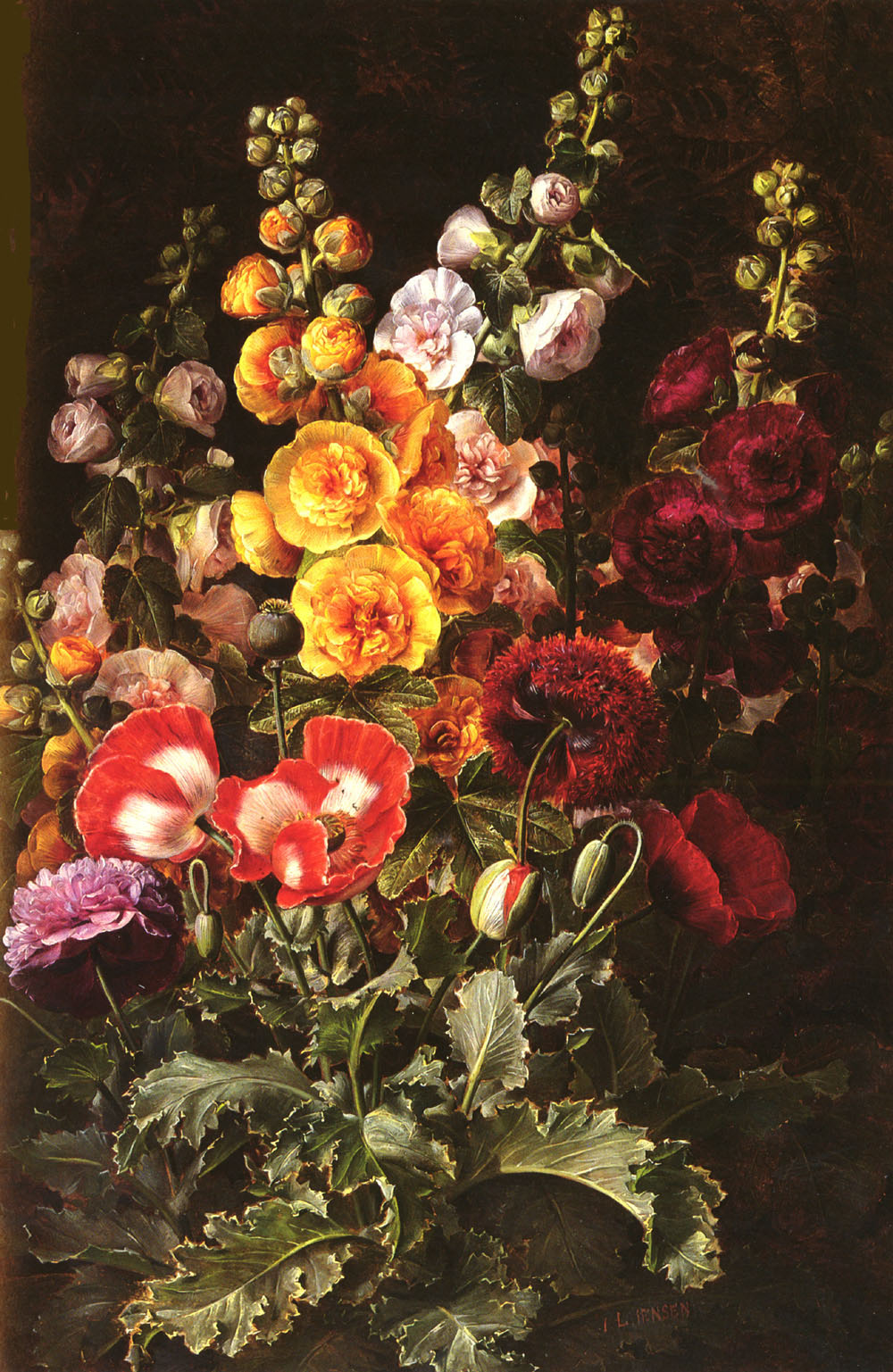 Bodegon De Hollyhocks Y Poppies Jensen — Johan Jensen