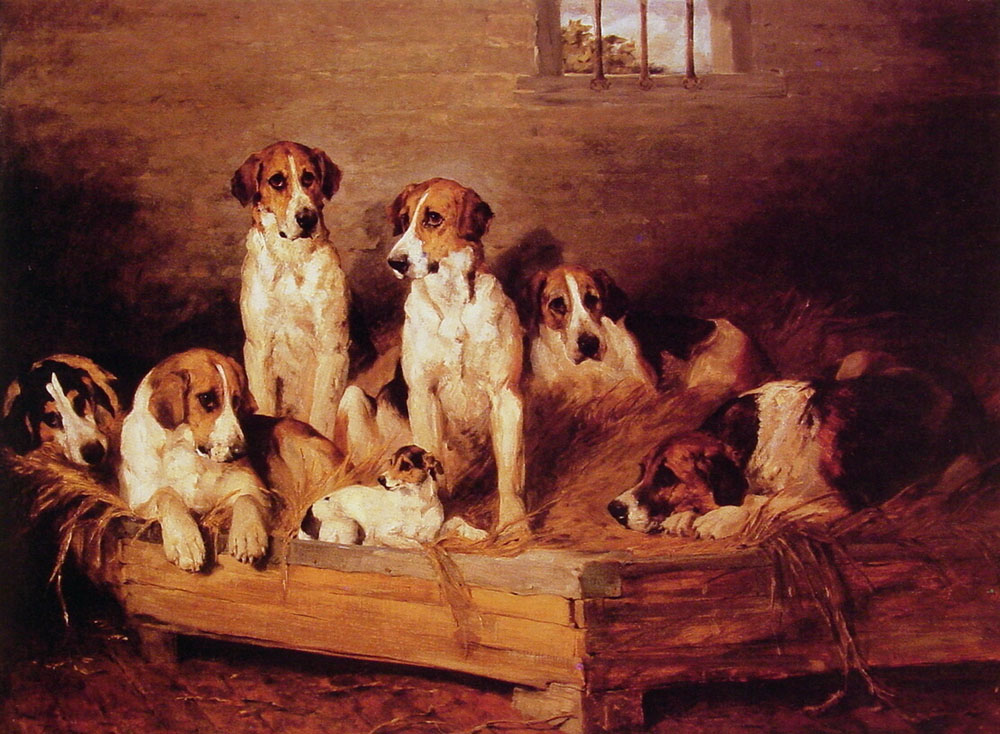 Foxhounds Y Terriers En Kennel Emms — John Emms
