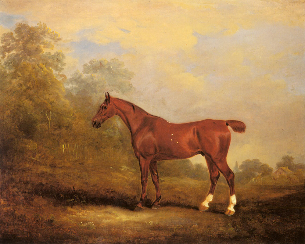 Cecil Favorite Cazador De Earl De Jersey En Landscap Ferneley — John Ferneley