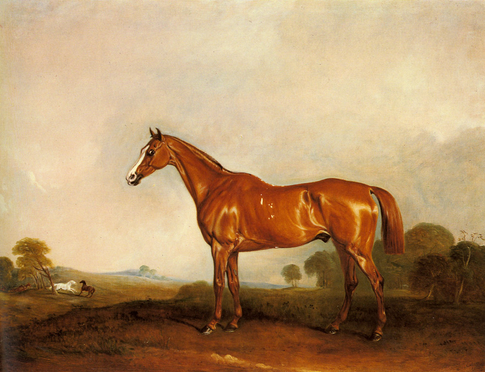Chestnut Cazador En Paisaje Ferneley — John Ferneley