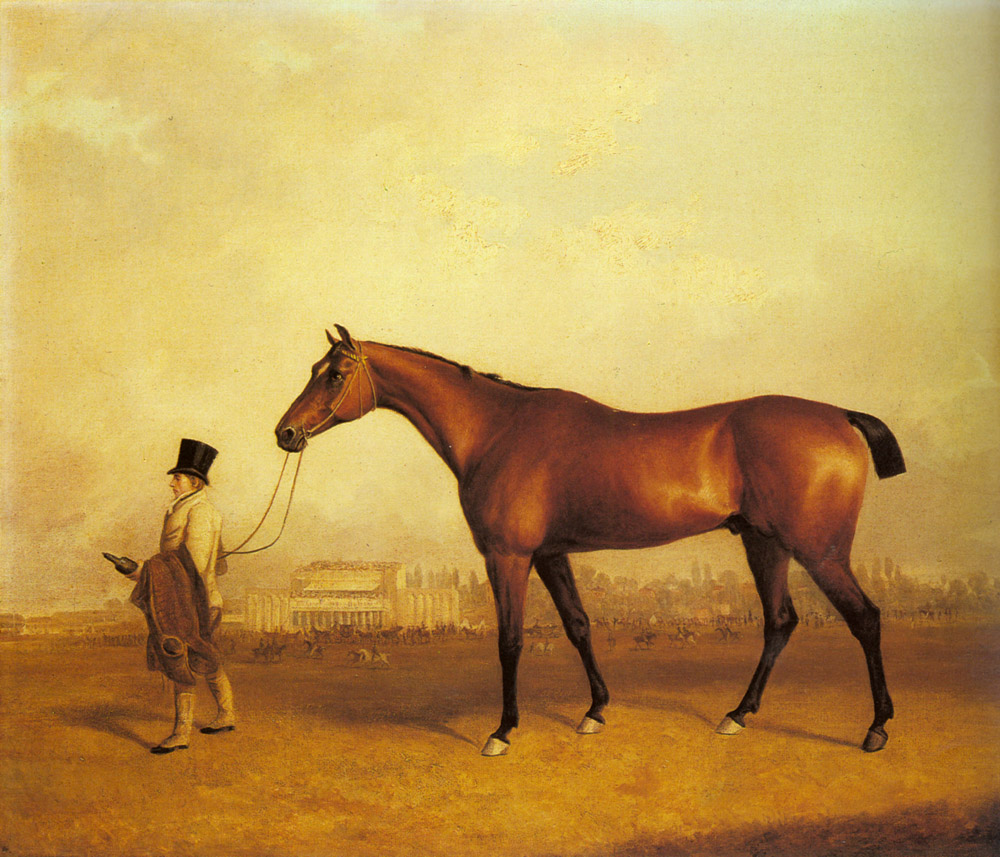 Emlius Invierno De Derby Held De Groom En Doncaster Ferneley — John Ferneley