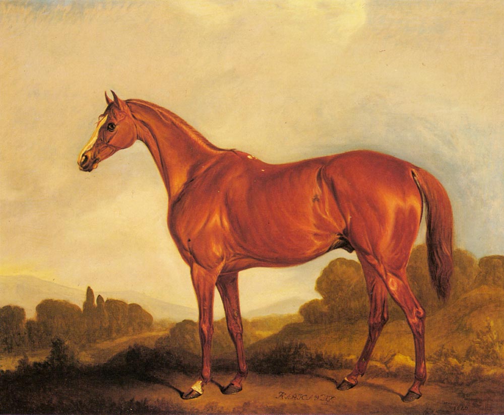Retrato De Racehorse Harkaway Winner De Goodwood Ferneley — John Ferneley