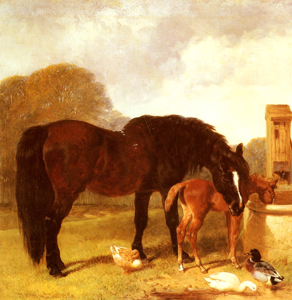 Caballo Y Foal Watering En Trough Herring — John Frederick Sr Herring