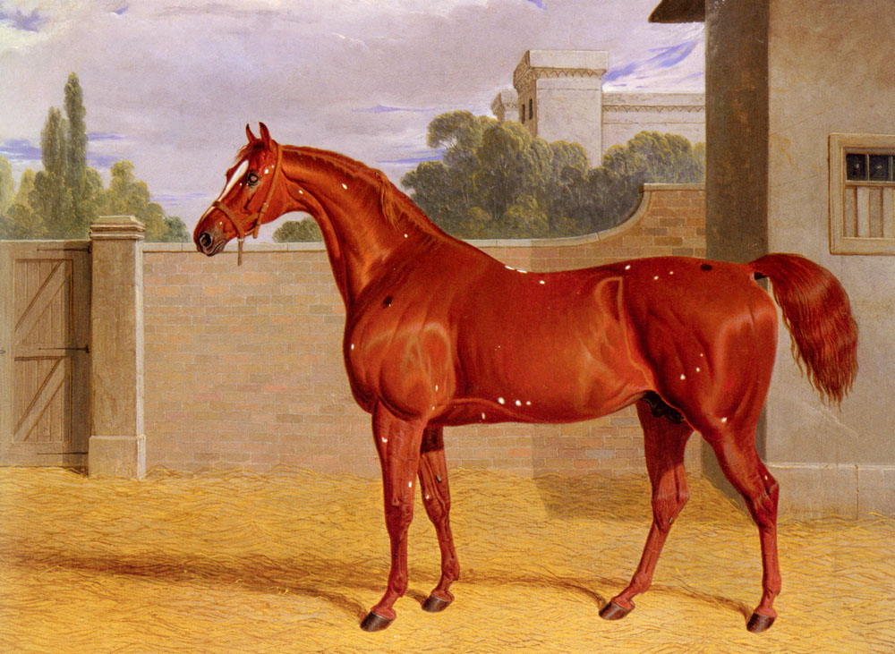 Comus Chestnut Racehorse En Stable Yard Herring — John Frederick Sr Herring