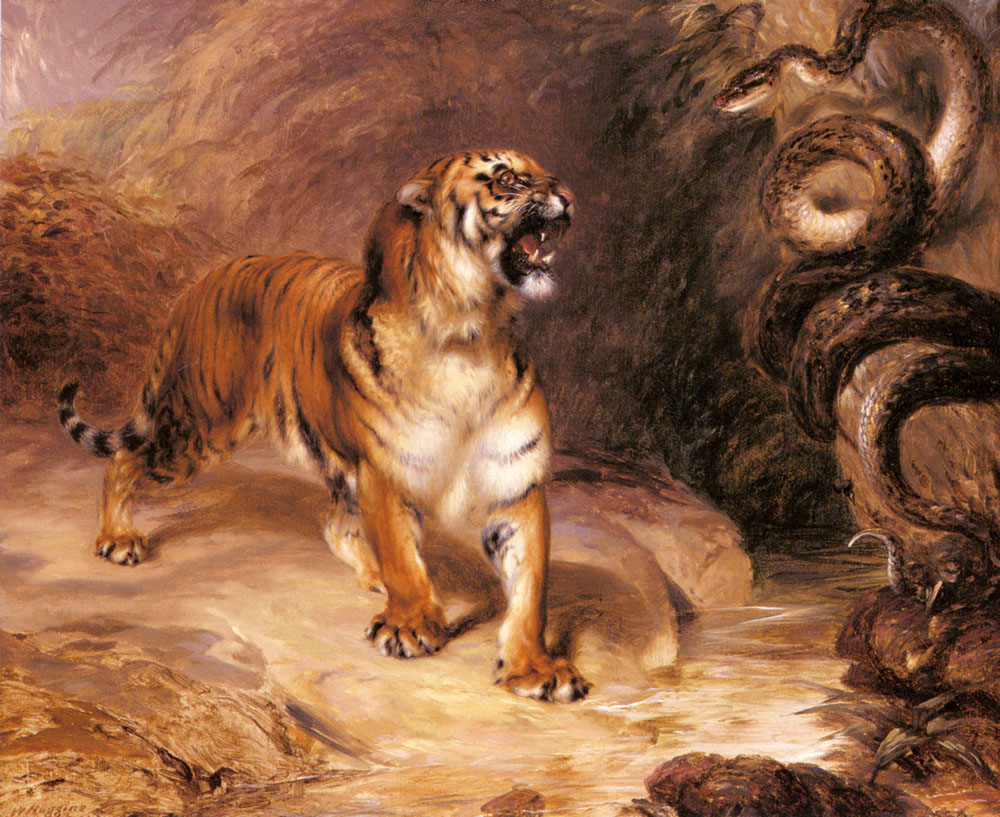 Tigre Y Serpent Huggins — John Huggins