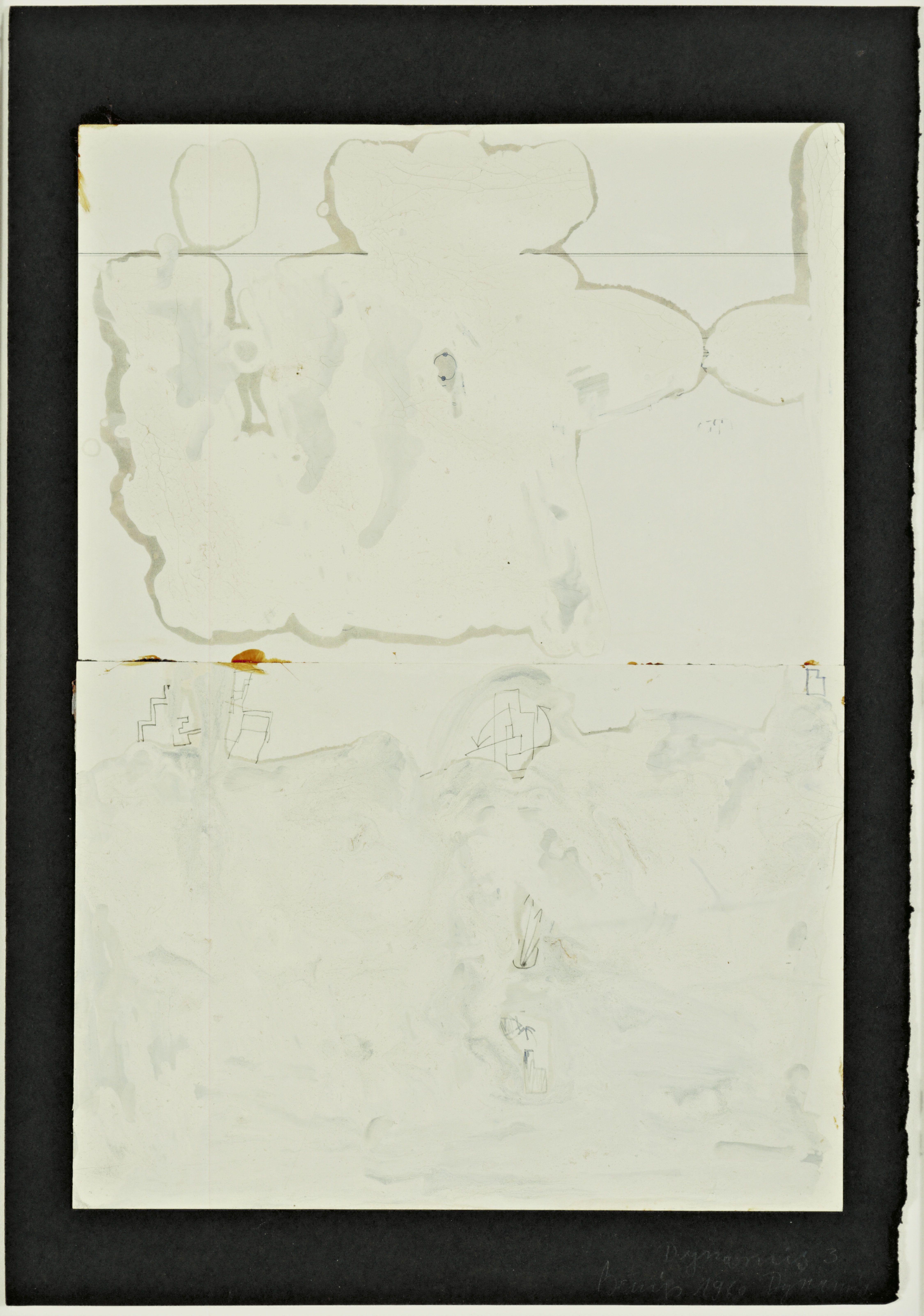 Coyote. I like America and America likes Me, Joseph Beuys
