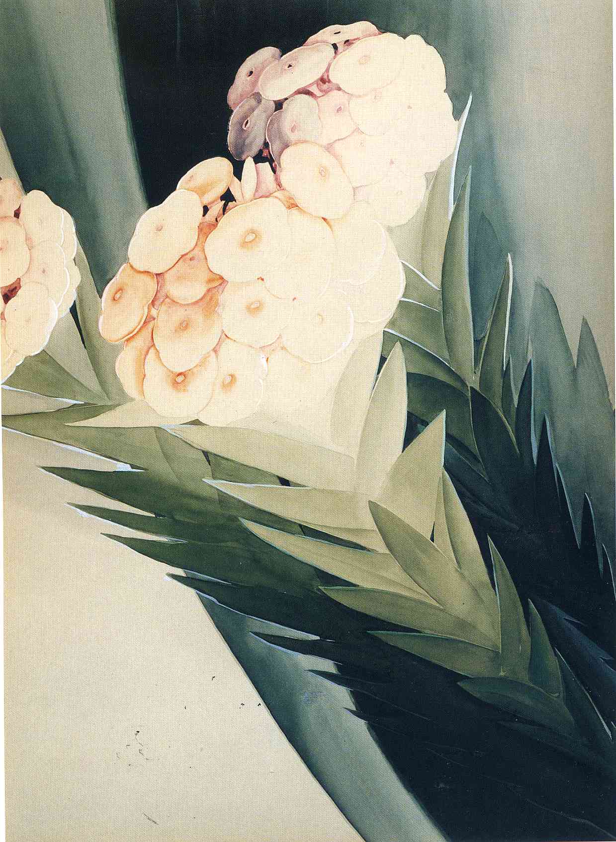 Img480 Stella — Joseph Stella