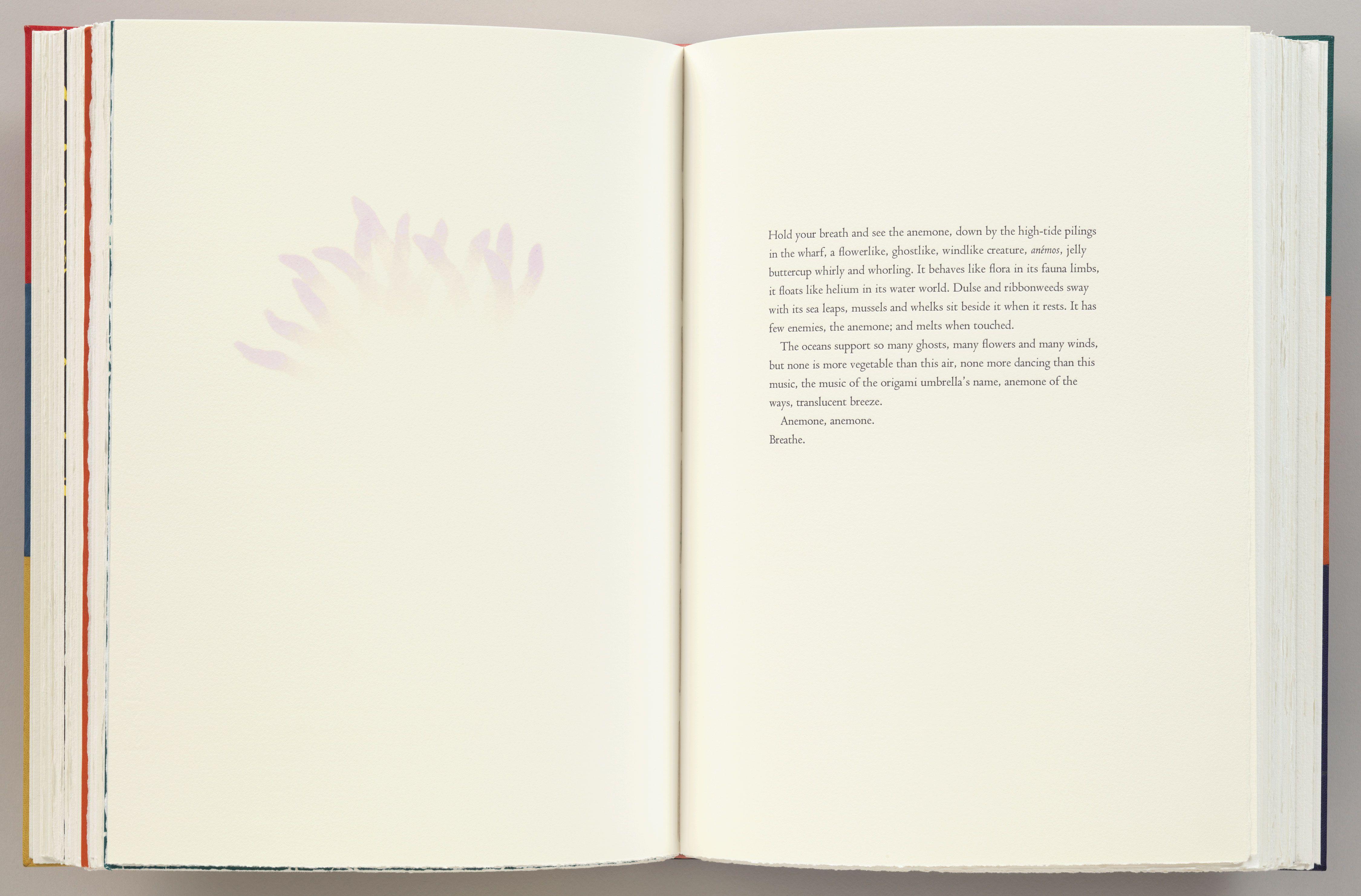 Kiki Smith