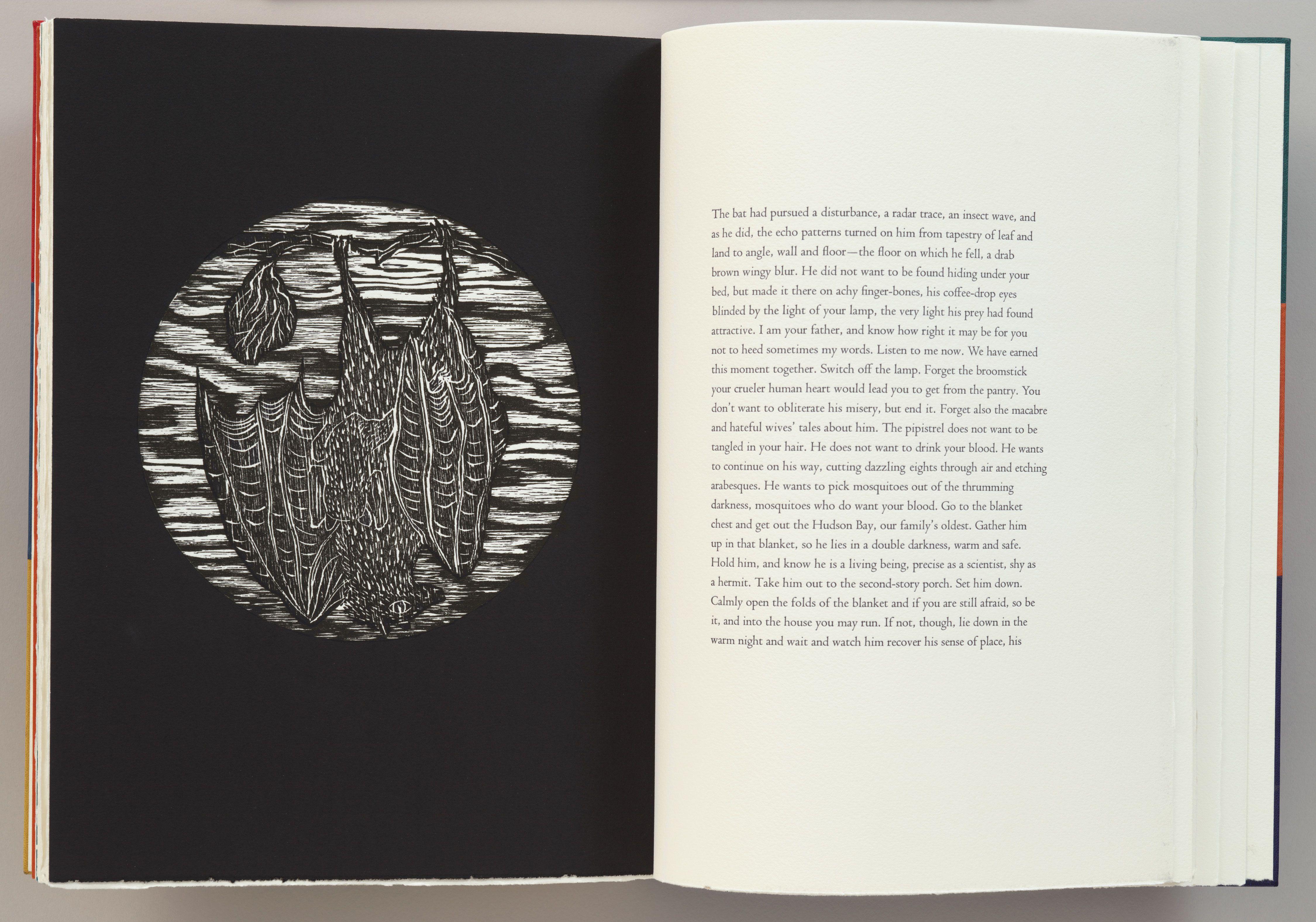 Bat De Bestiary Smith — Kiki Smith