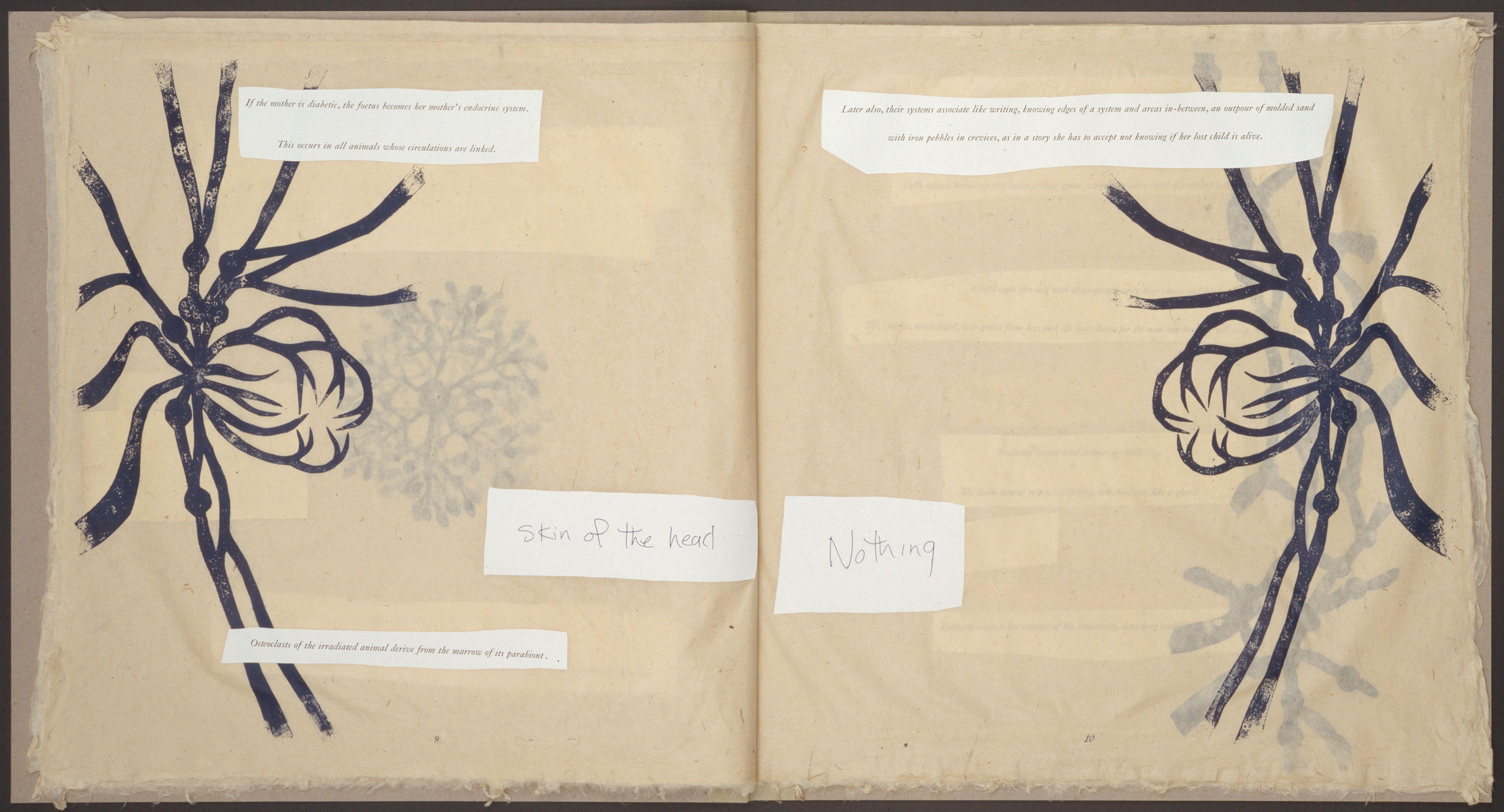 Endocrinology Smith — Kiki Smith
