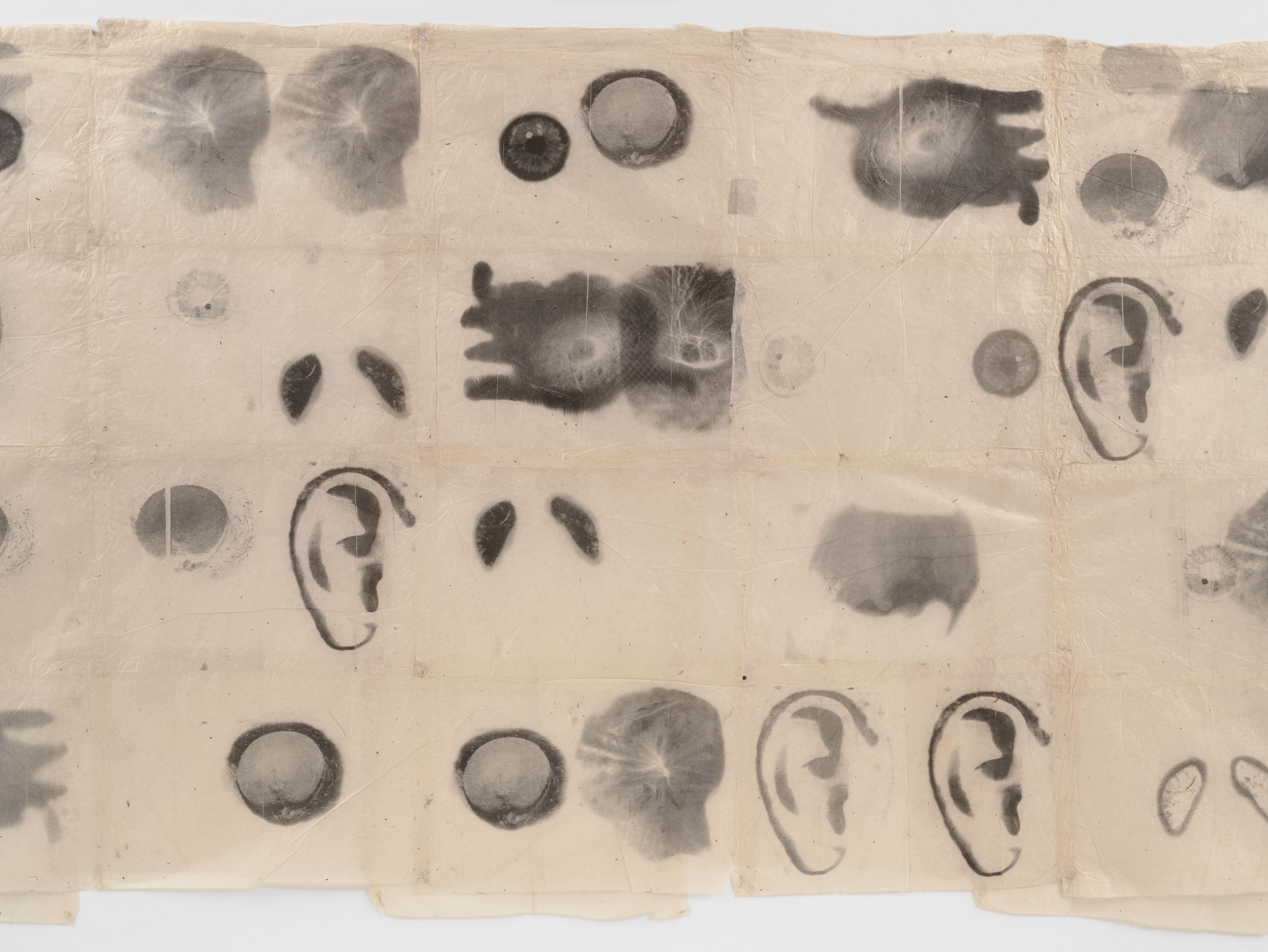 Hombre Smith — Kiki Smith