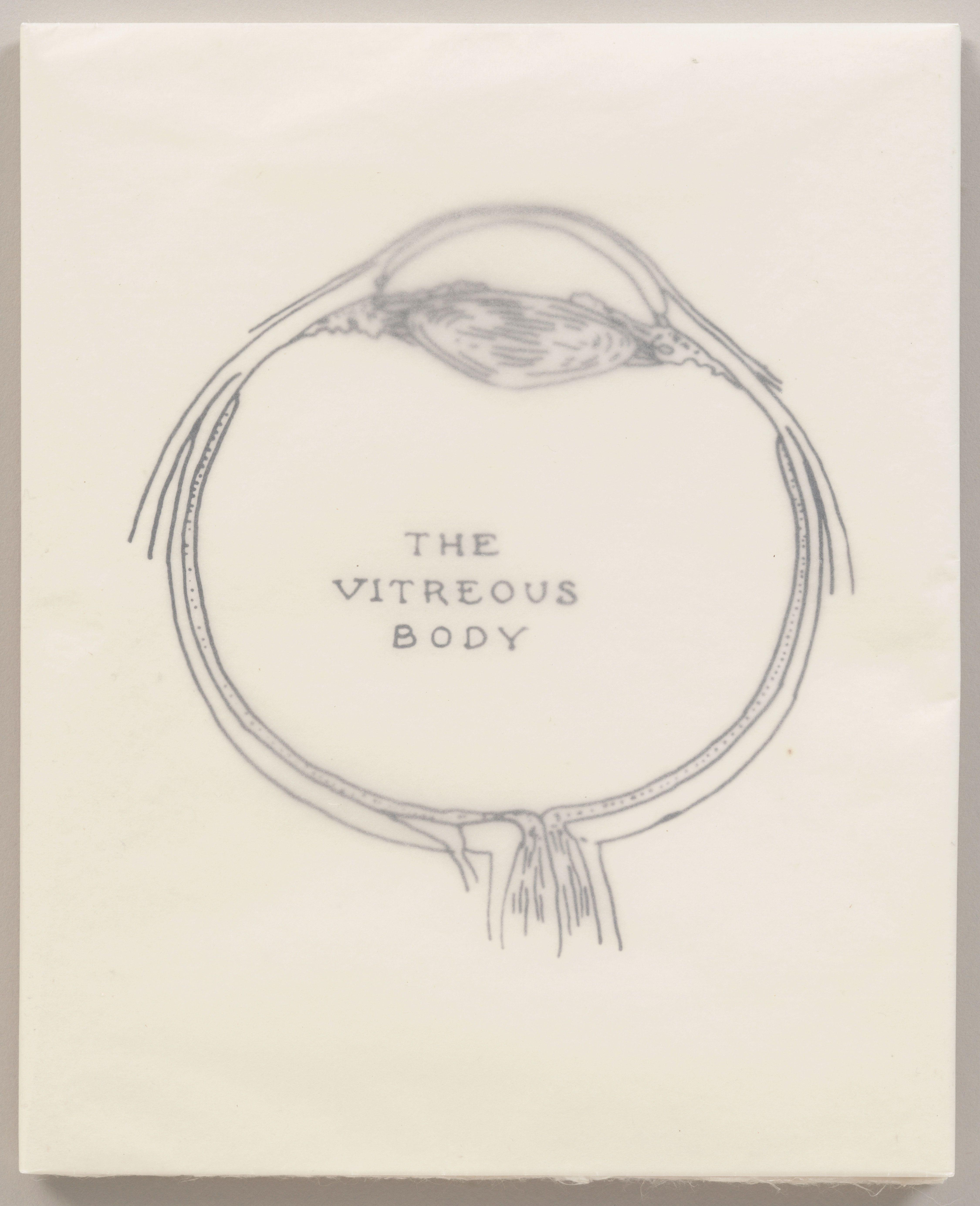 Vitreous Cuerpo Con Adapted Translation De Way De Seeming Smith — Kiki Smith