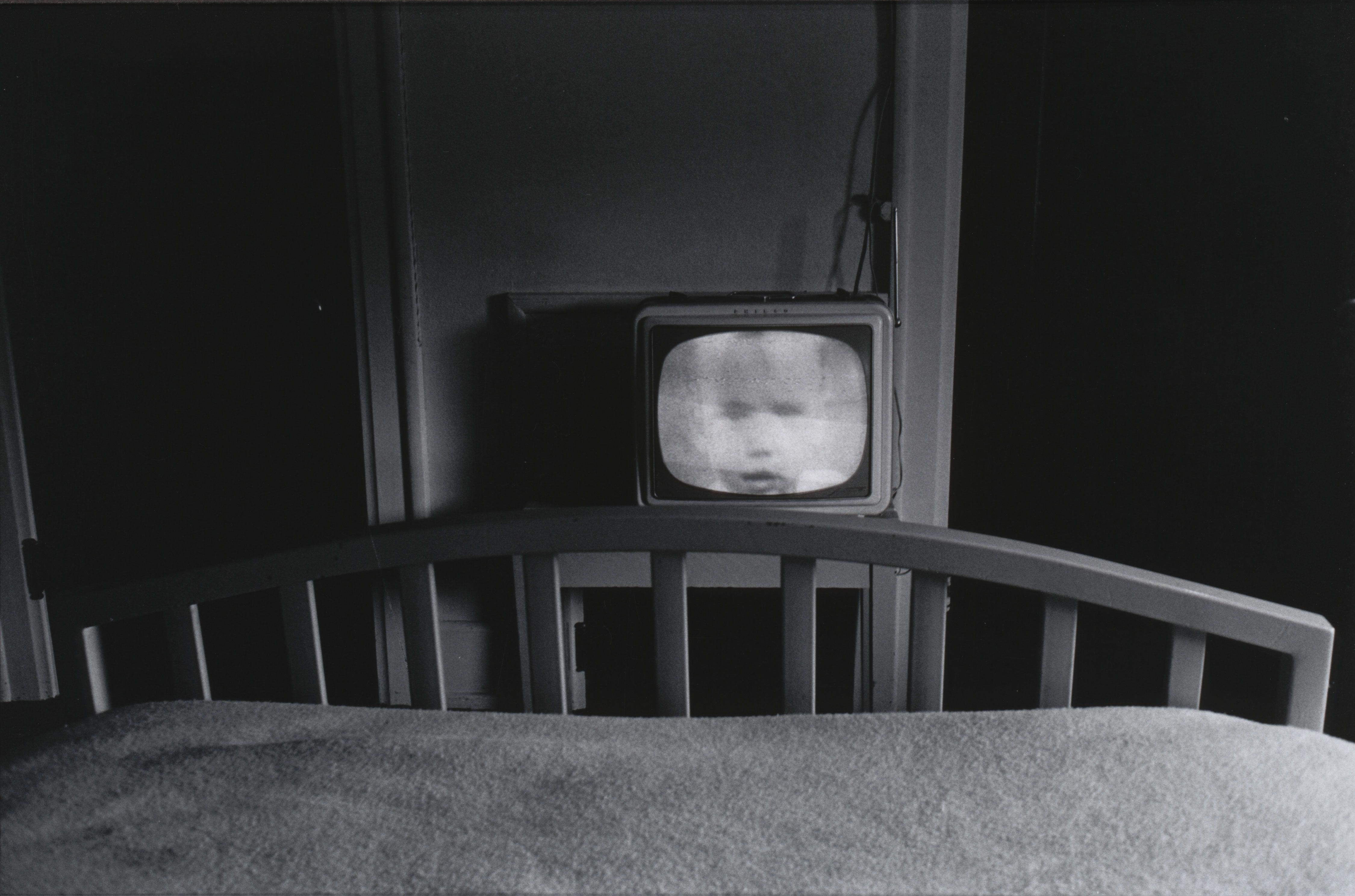 Galax Virginia Friedlander — Lee Friedlander