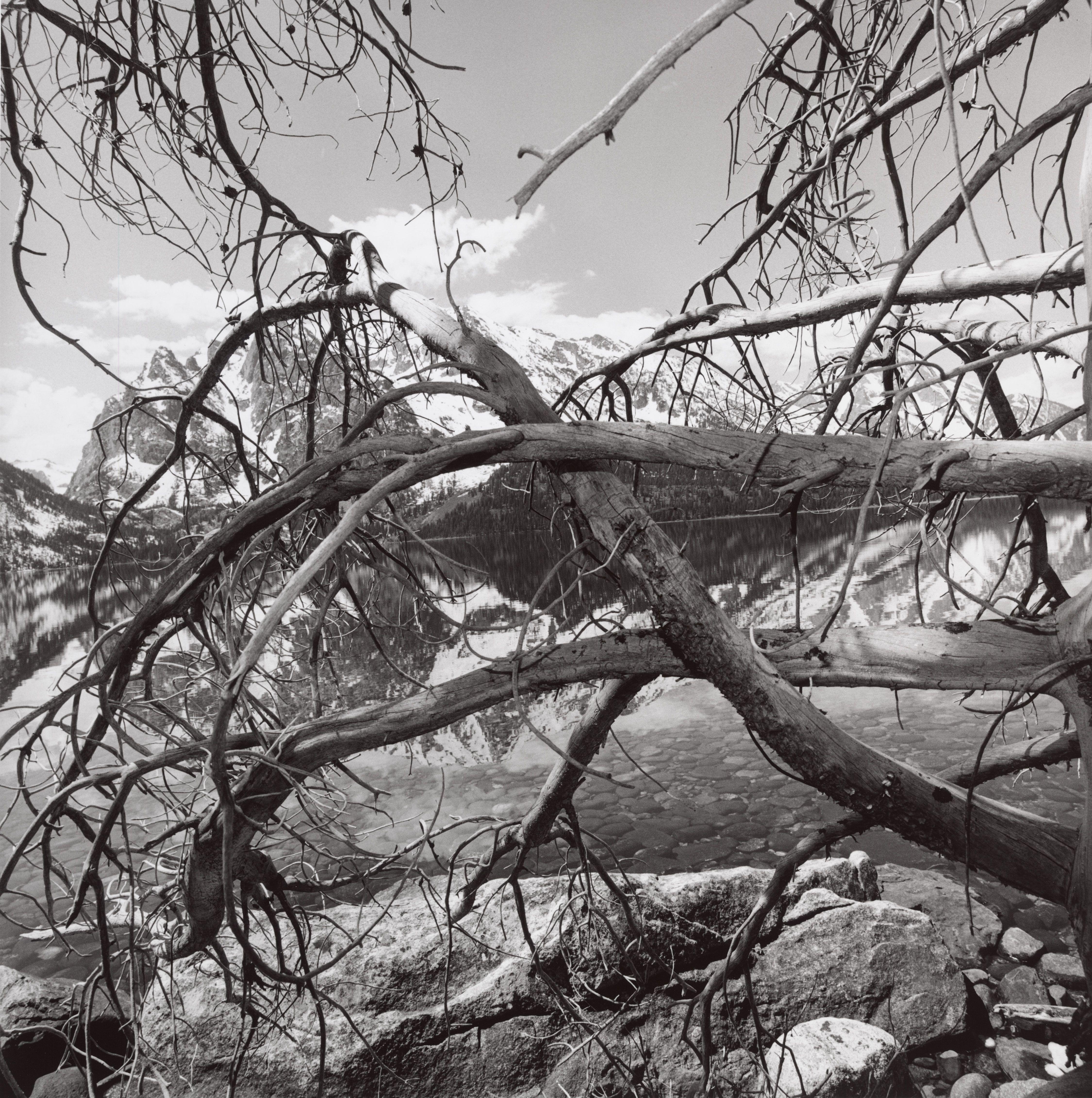 Grand Teton National Parque Wyoming Friedlander — Lee Friedlander