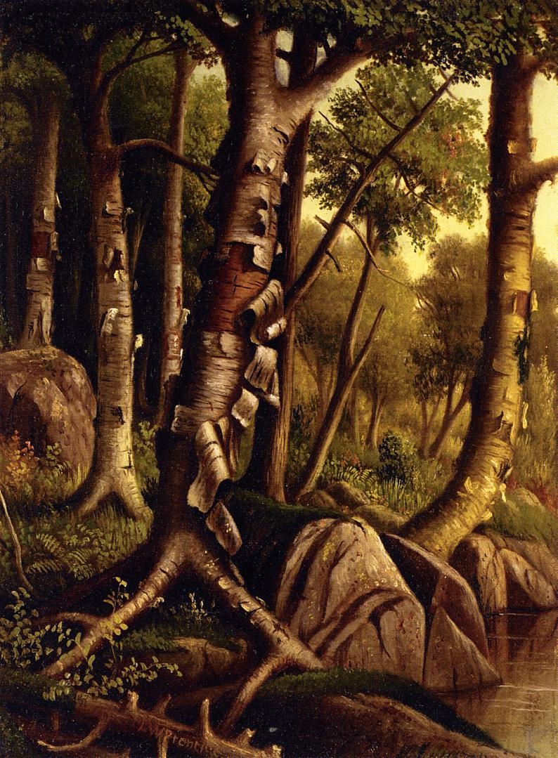 Birch Arboles Prentice — Levi Wells Prentice