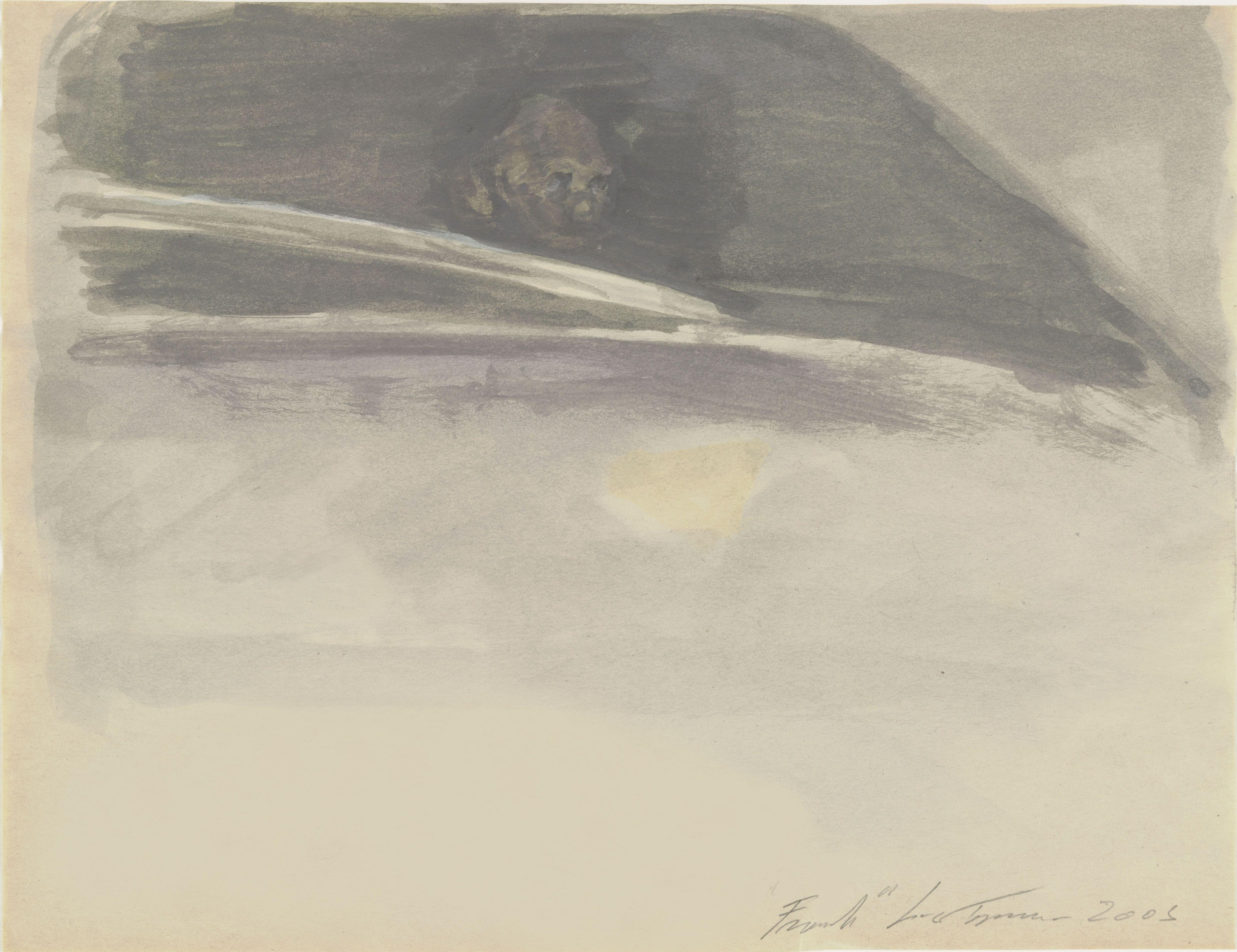 Frank Tuymans — Luc Tuymans