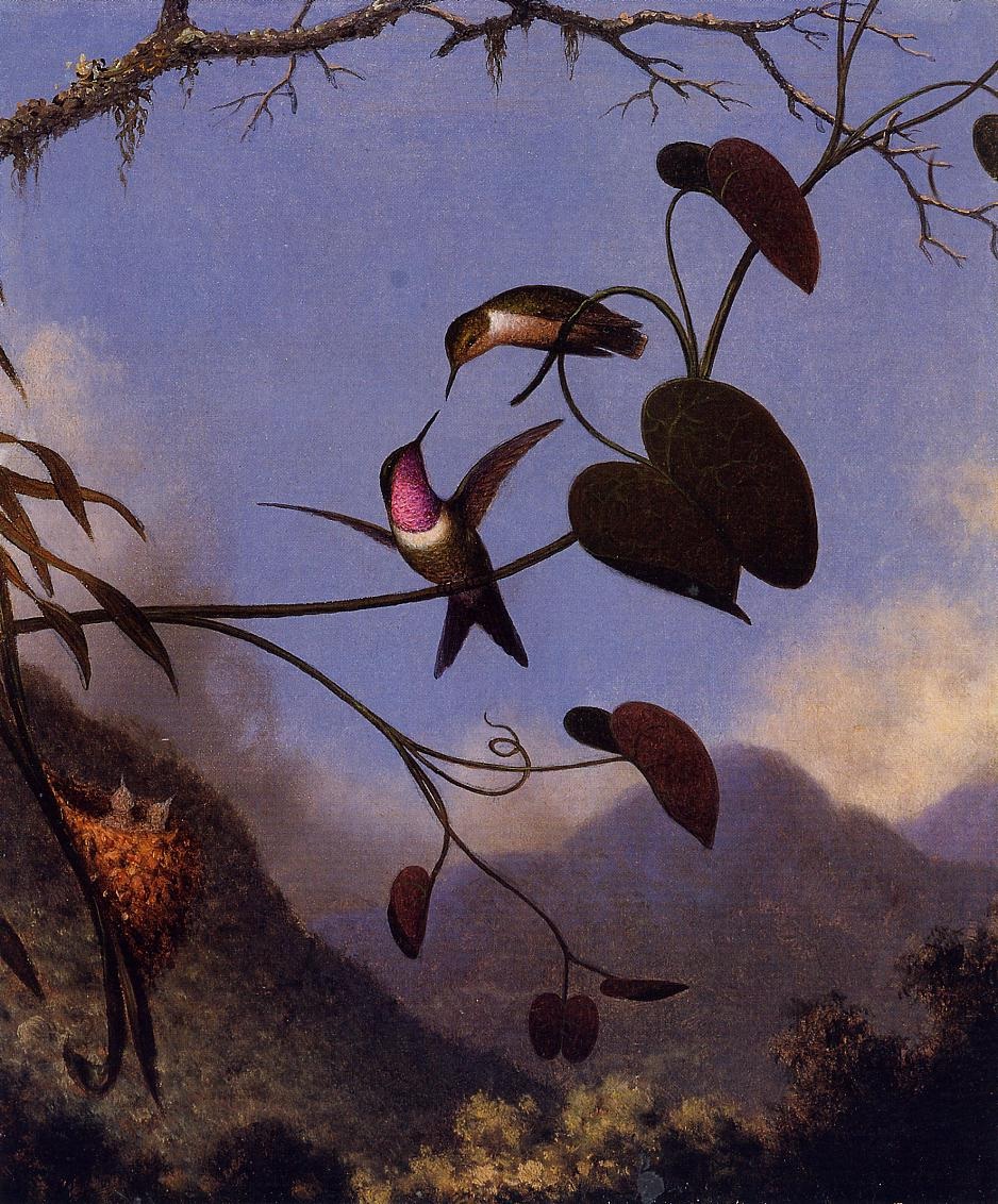 Amethyst Woodstar Heade — Martin Johnson Heade