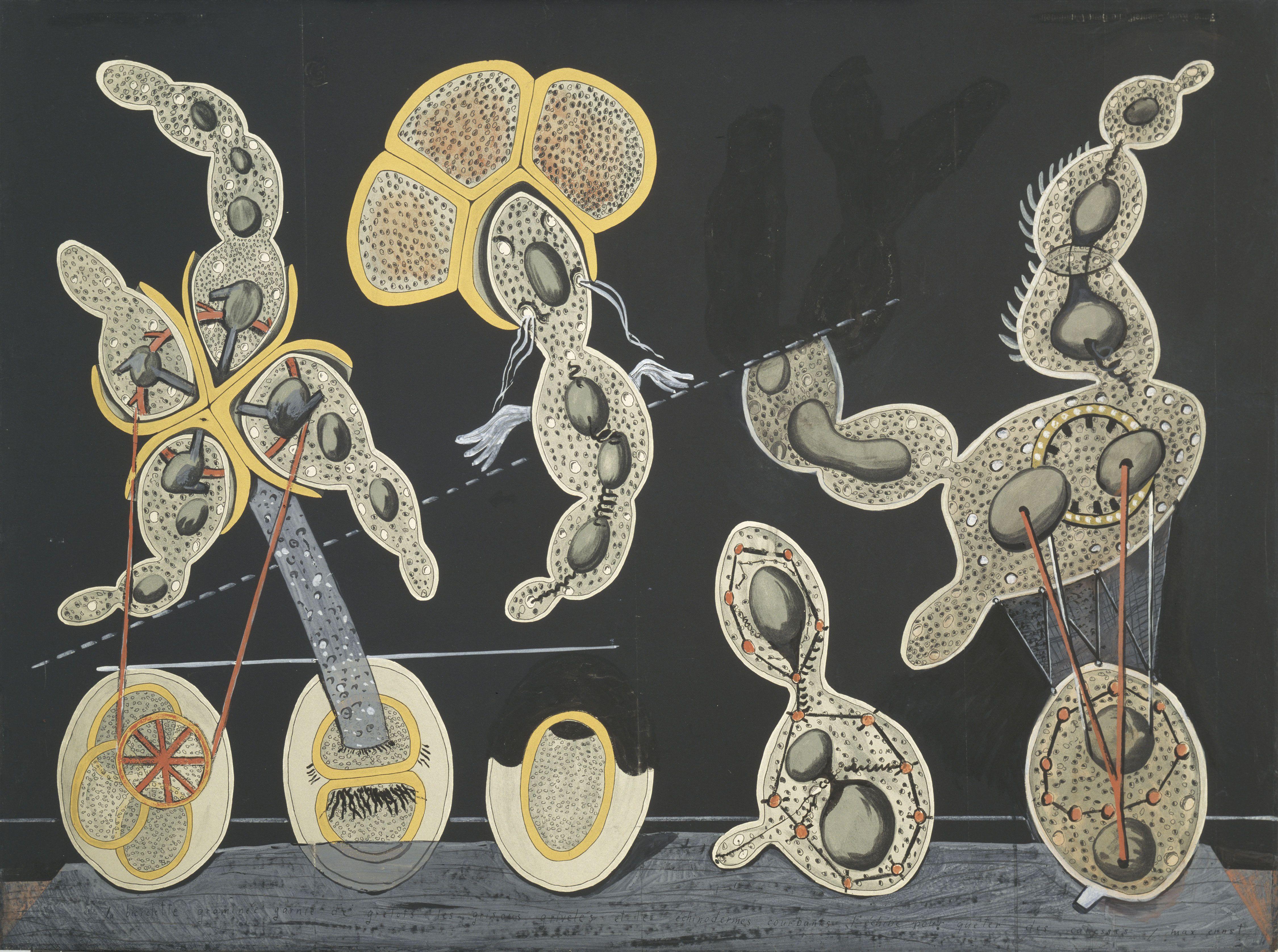 Gramineous Bicycle Garnished Con Bells Dappled Fuego Damps Y Echinoderms Bending Spine Hacia Look Para Caresses Ernst — Max Ernst