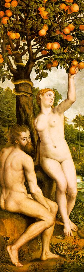 Original Sin Coxcie — Michiel Van Coxcie