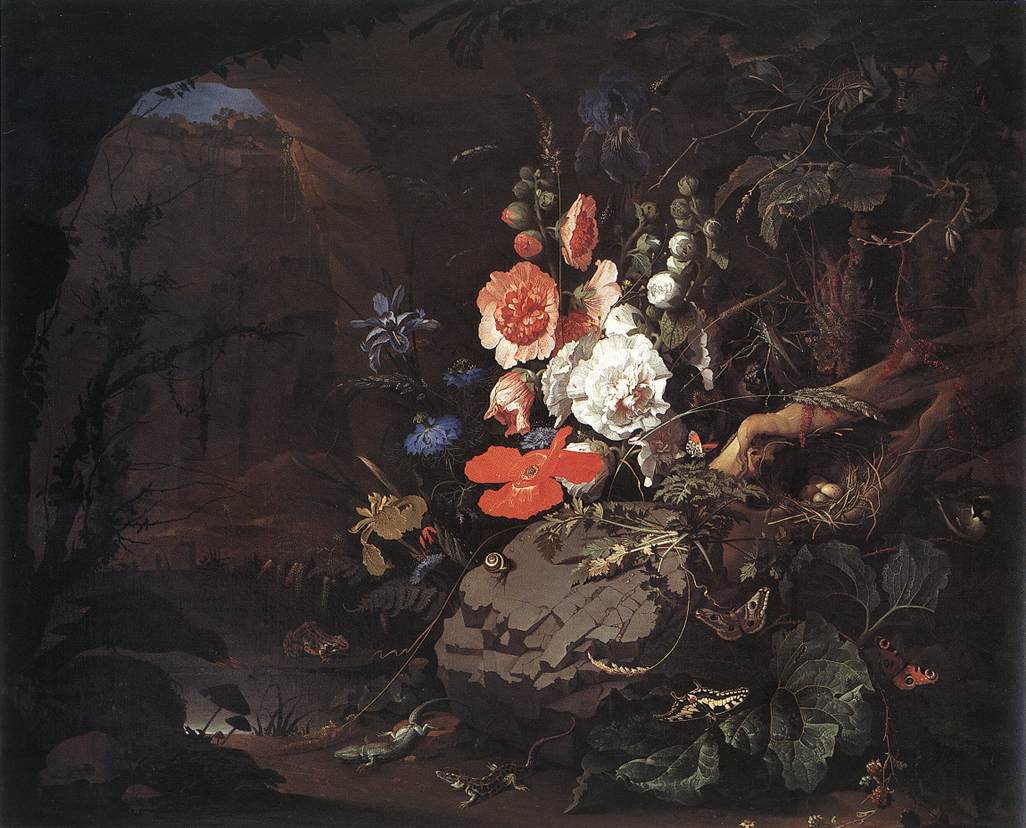 Nature As Symbol De Vanitas Mignon — Mignon