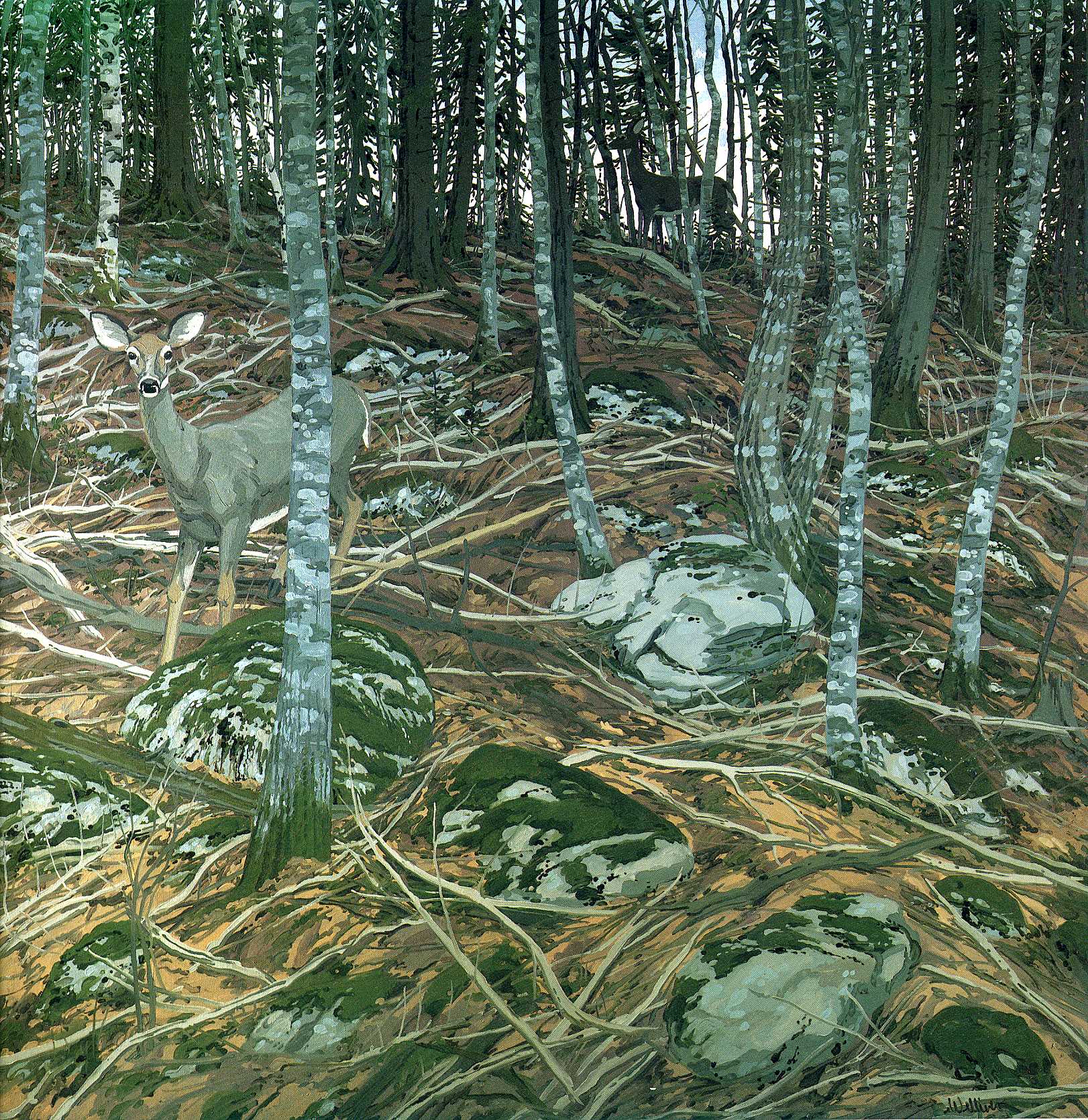 Image 340 Welliver — Neil Welliver
