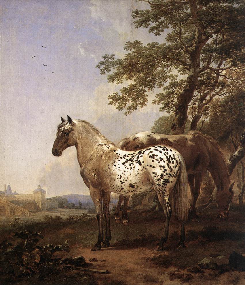 Paisaje Con Two Caballos Berchem — Nicolaes Berchem