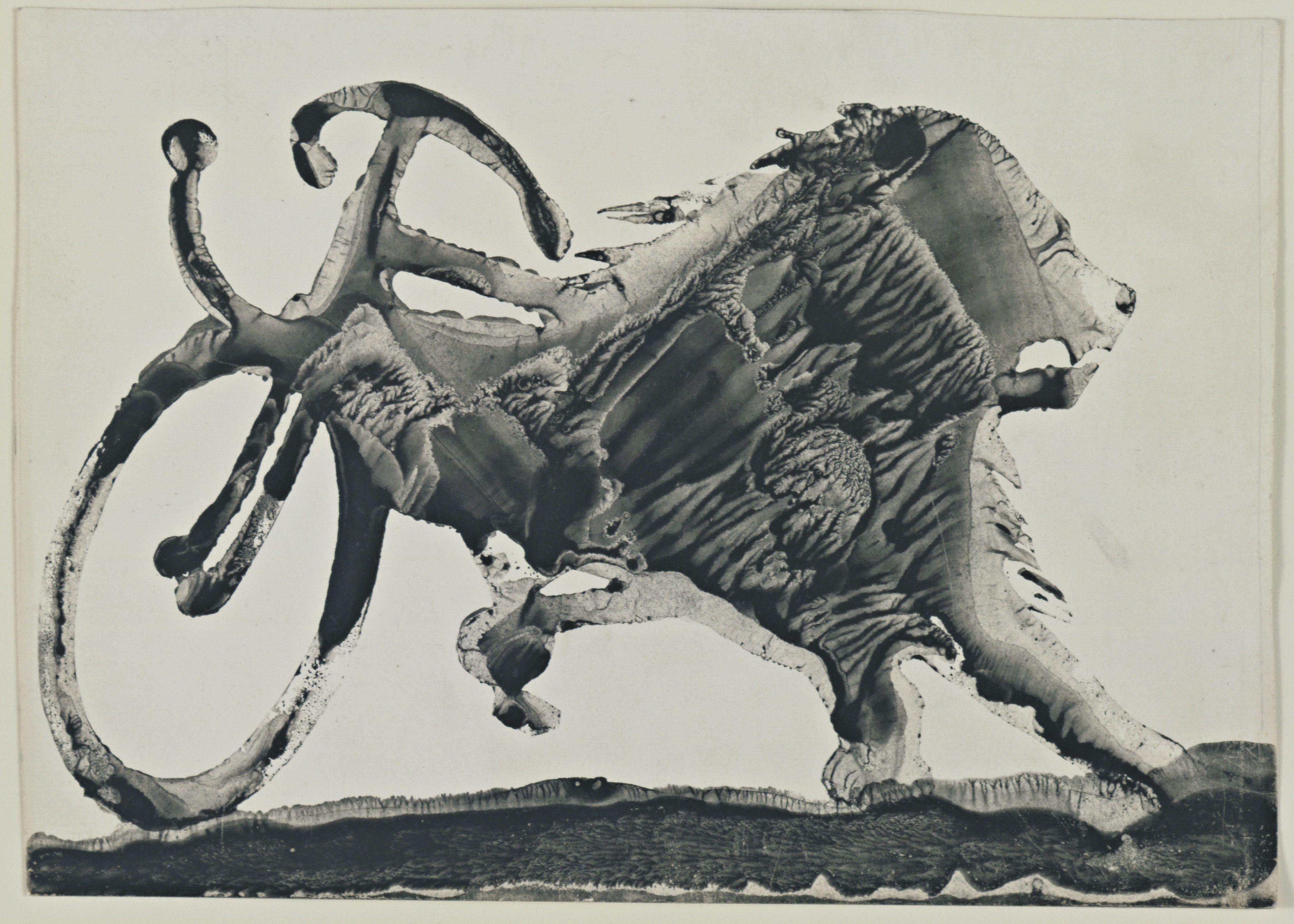 Untitled Dominguez — Oscar Dominguez