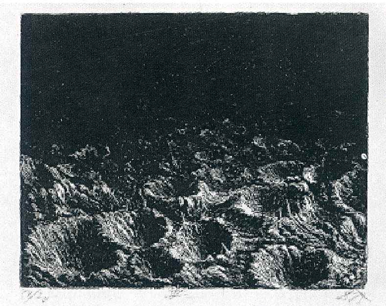 Otto Dix 118 — Otto Dix